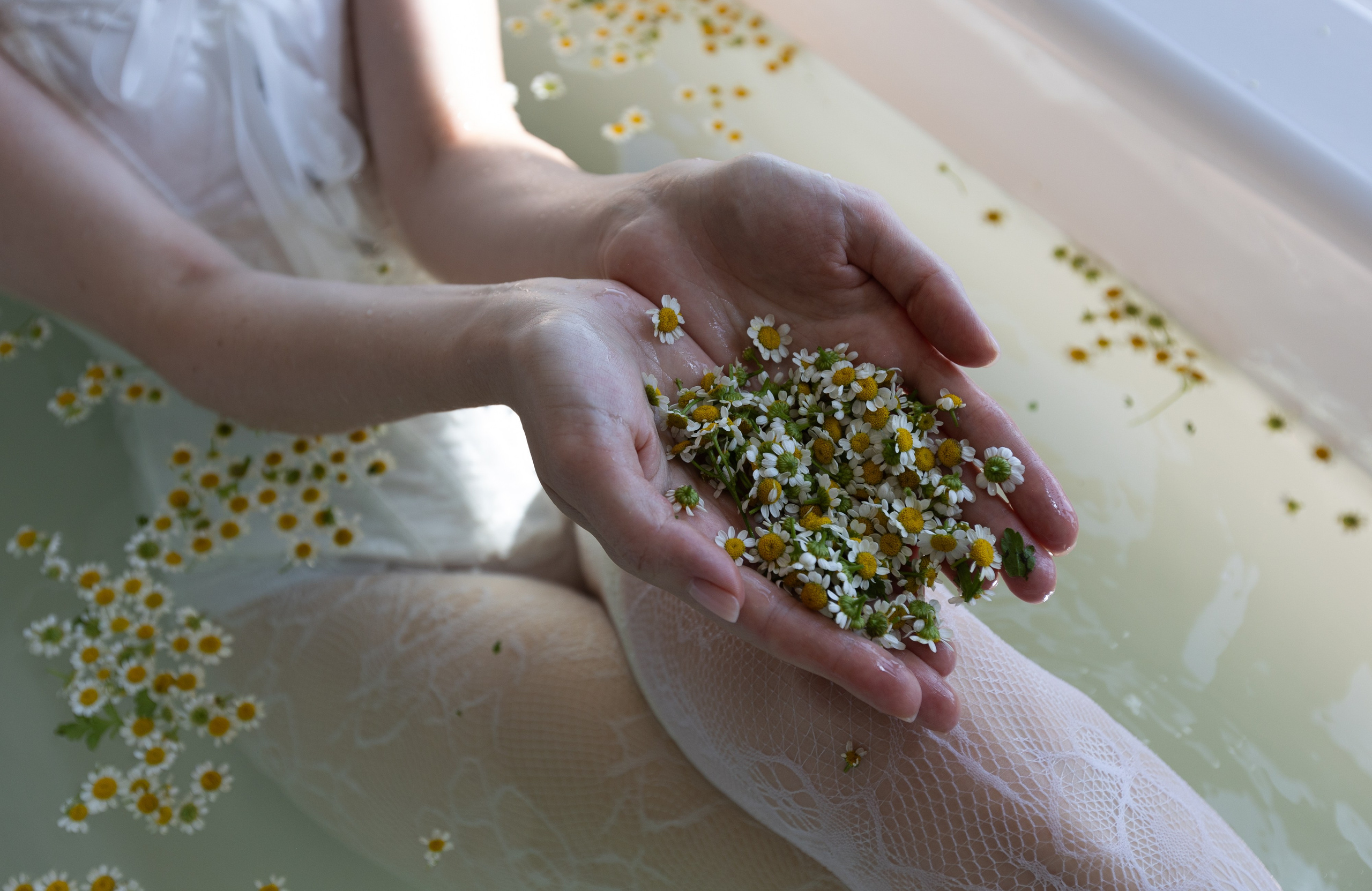 Н+Э. Свадебный и семейный фотограф в Москве Вероника Сычева