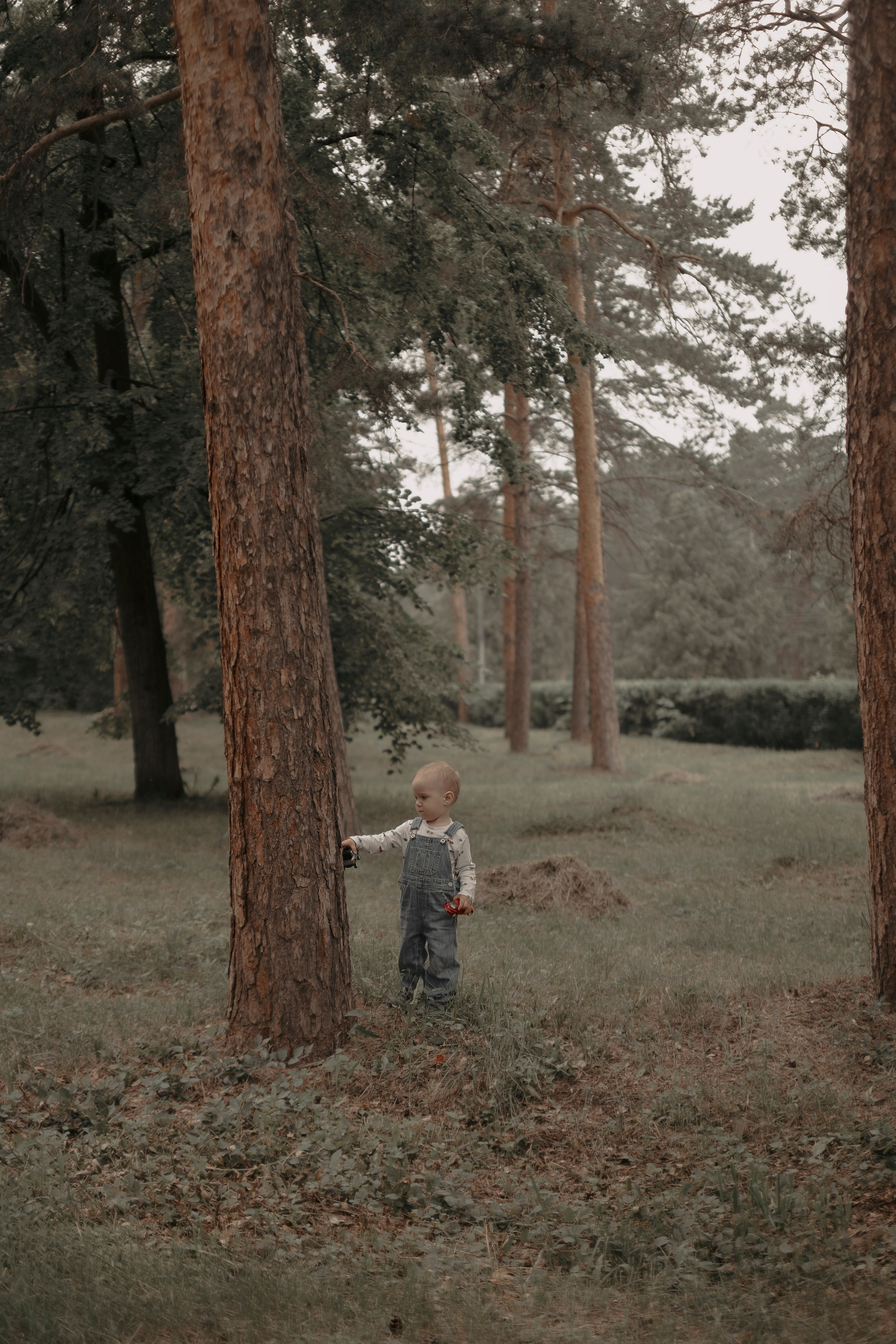 Парк. Не смотри на других, смотри внутрь себя