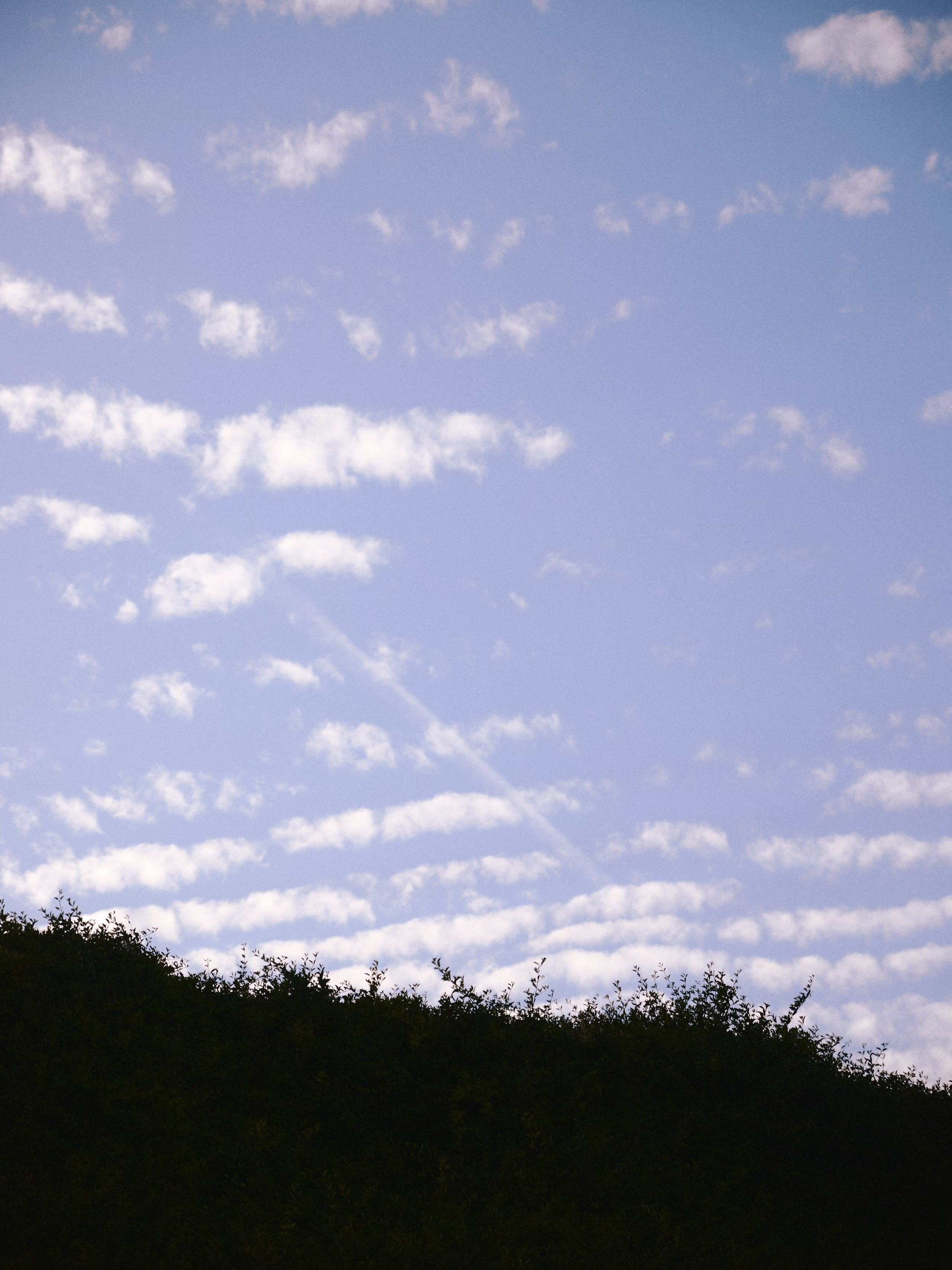 Природа. Jorgis Talè — photographer, kind person, teacher of arts and other mag