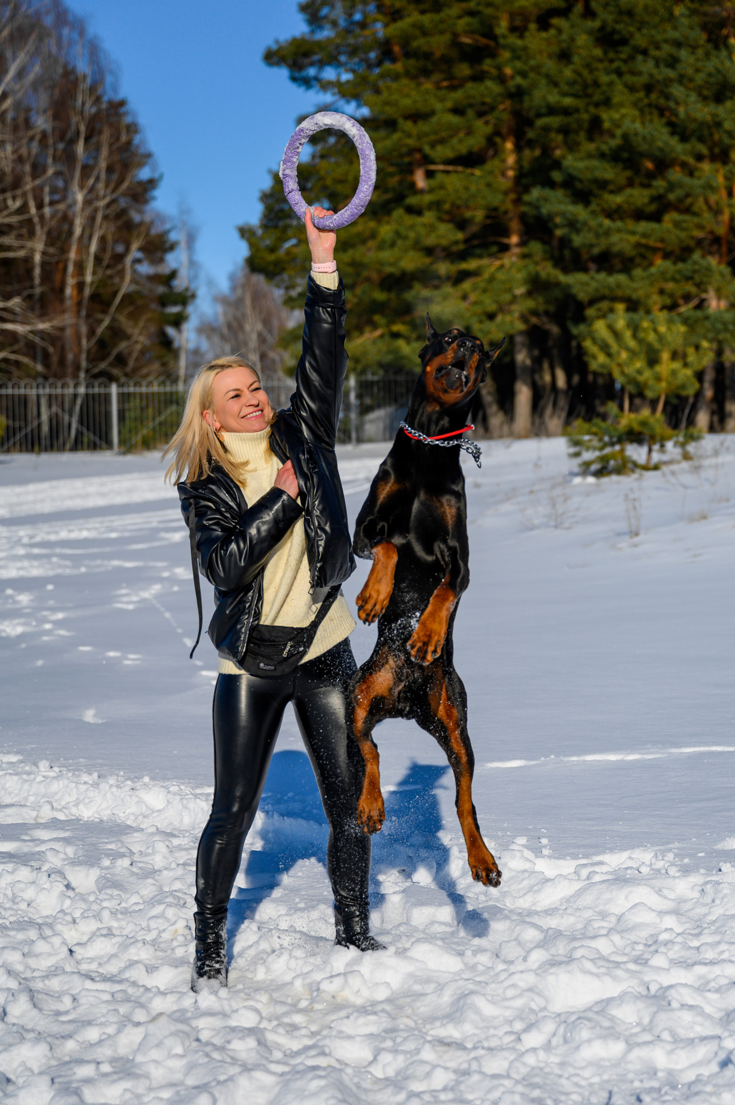 Доберман Рэн. Bazarkom-photo.ru Фотограф Виктор Оськин в Старом Осколе