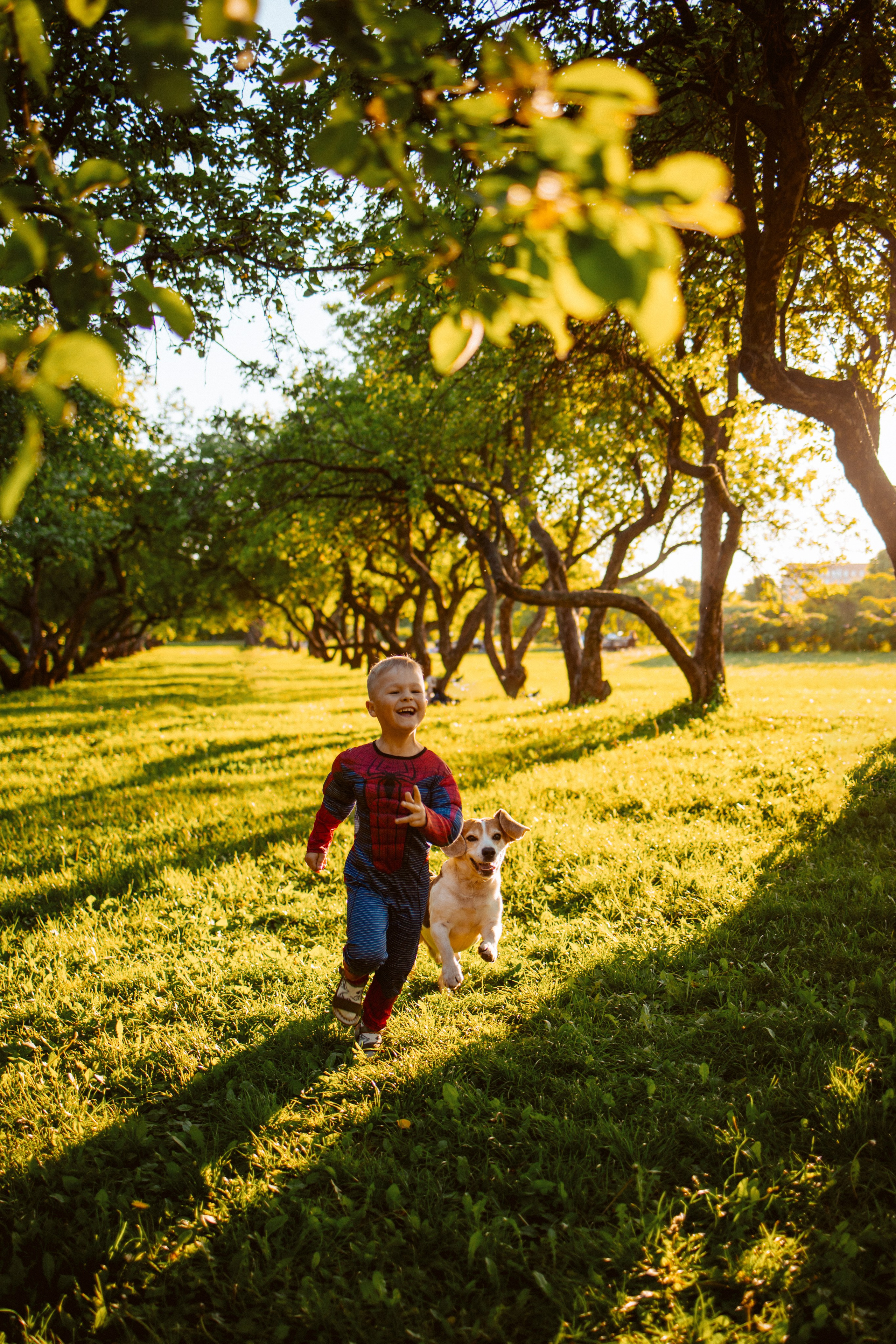Съемка “Ты Человек Паук”. Энергия!