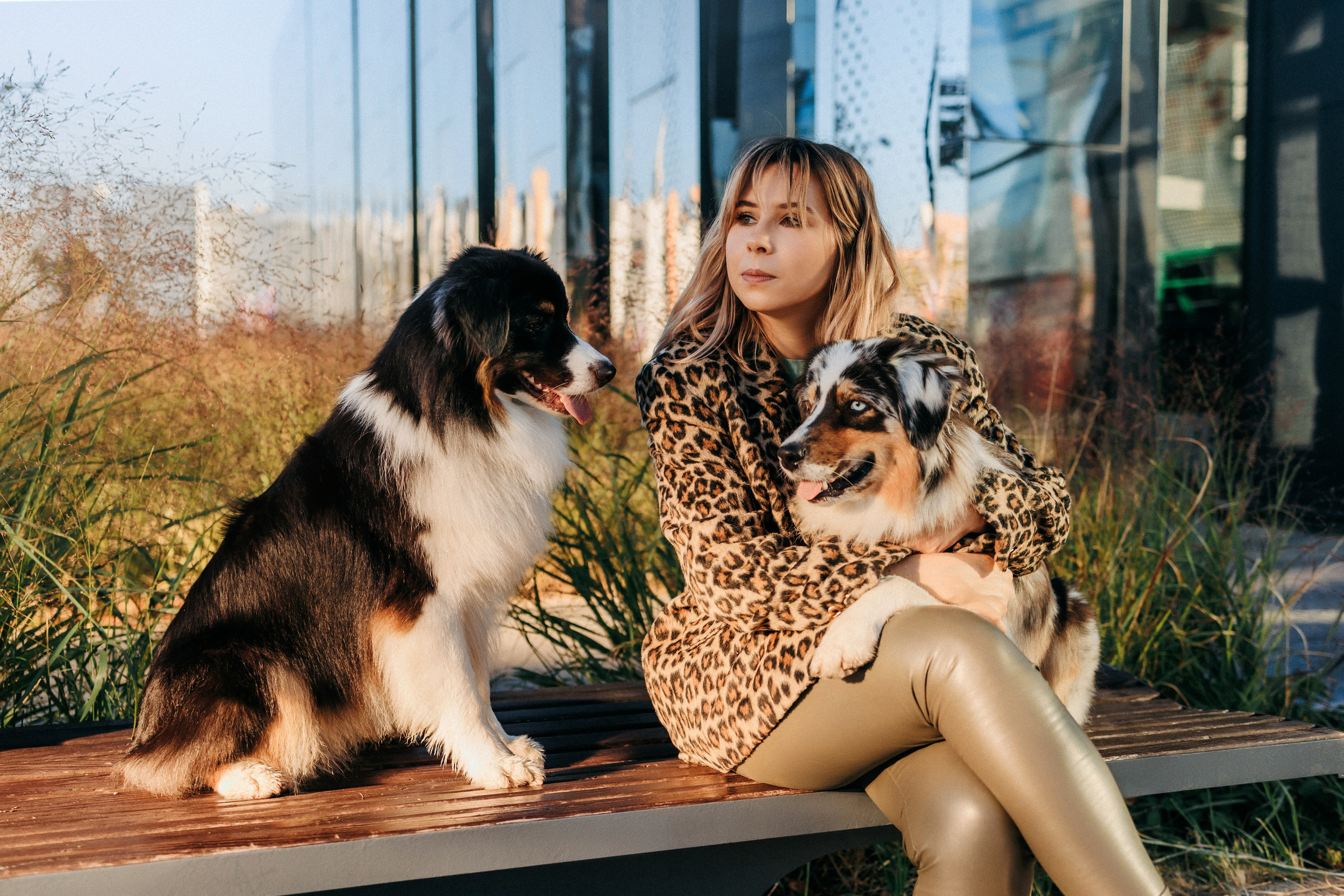 Аня, Чарли и Ева. Фотограф-анималист Елена Радченко, Москва