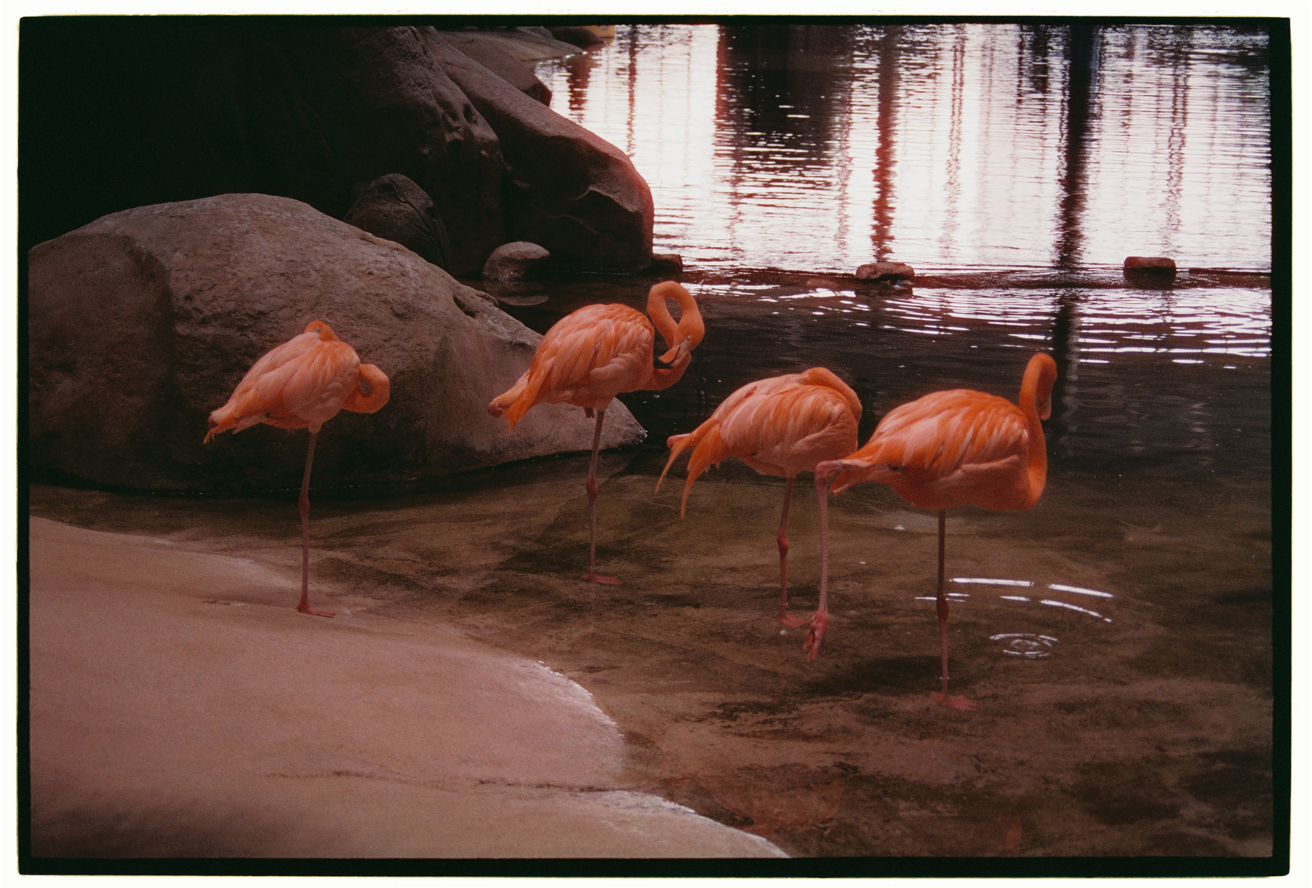 UAE. ANNA — PHOTOGRAPHER