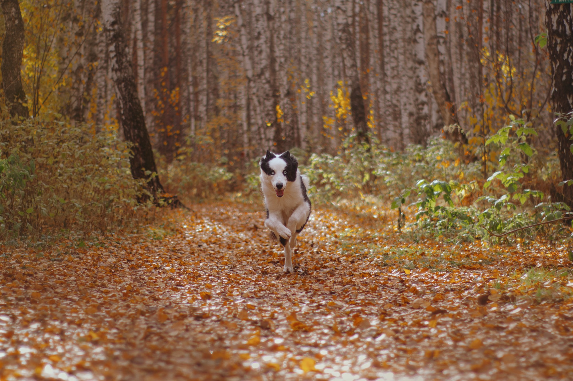 Ликёр. Фотограф в Тюмени Лизавета Сапицкая