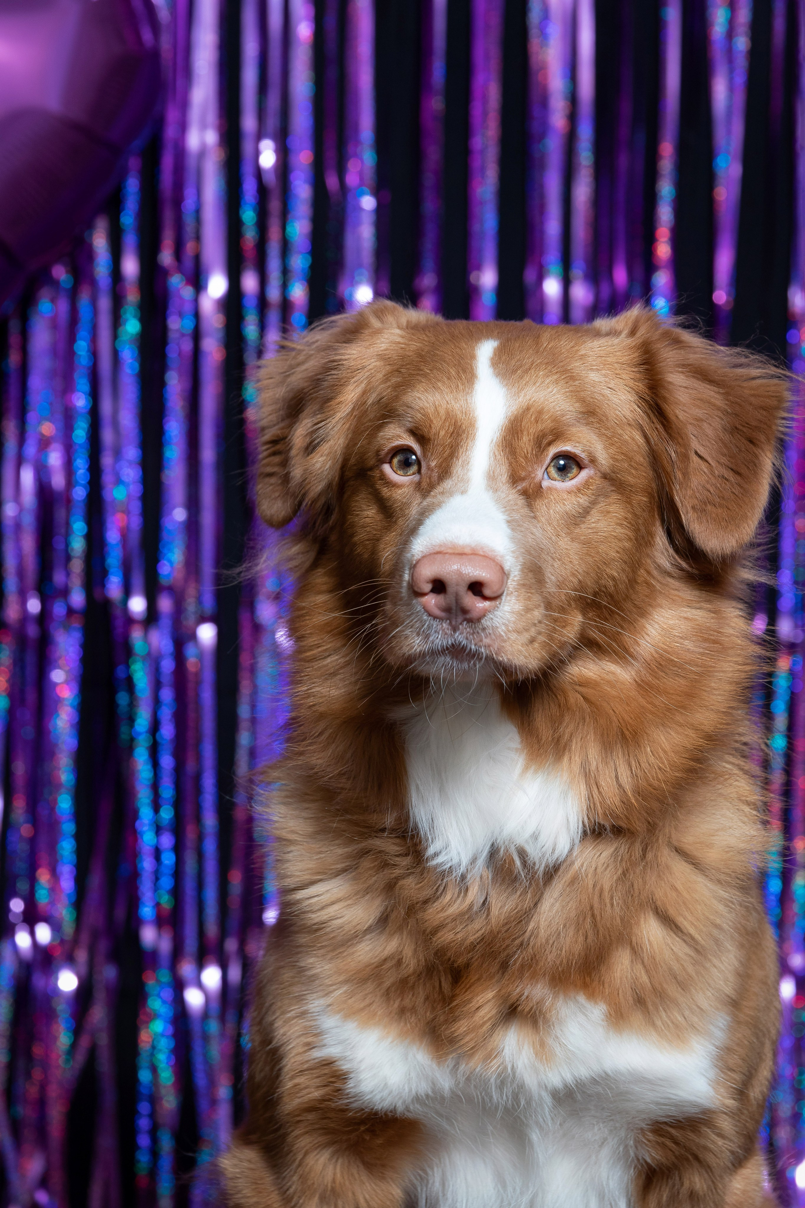 Ричард. Юлия Микульская. Рыбинск