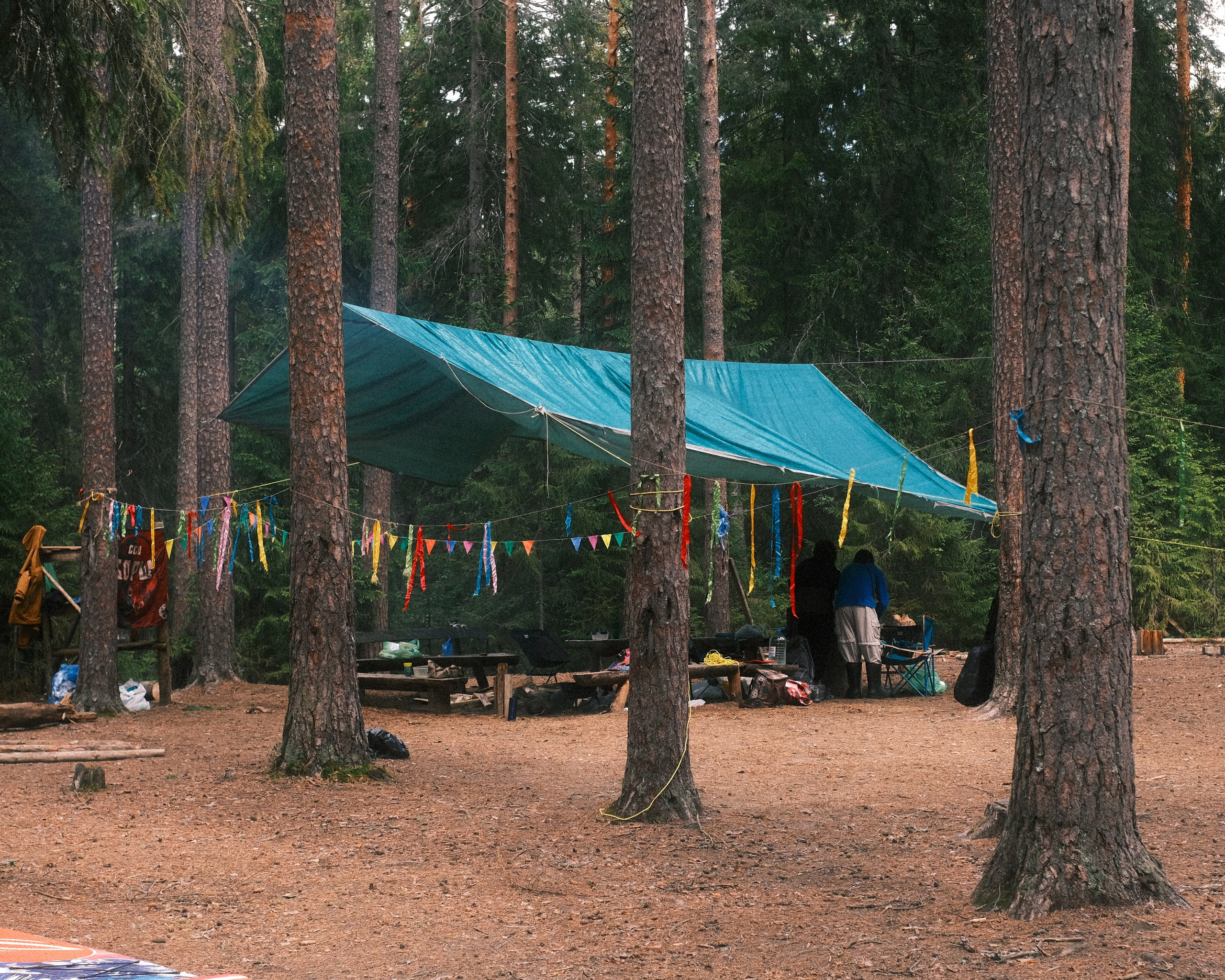 Орехово | май 2025