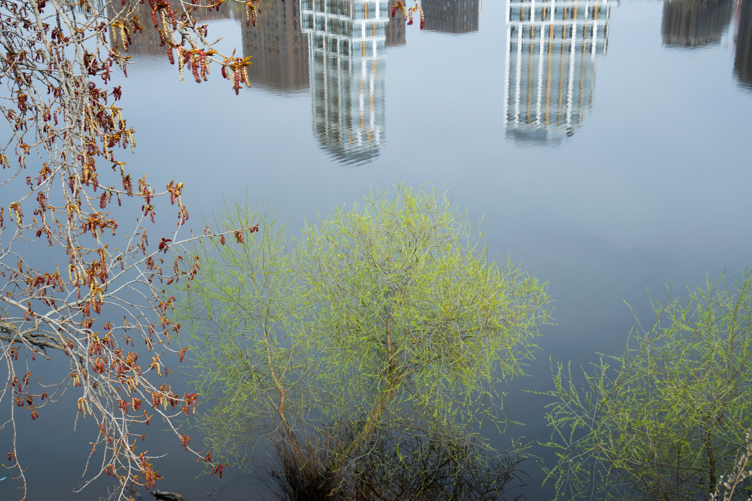 Симуляторы (Каталог № 4). Главная