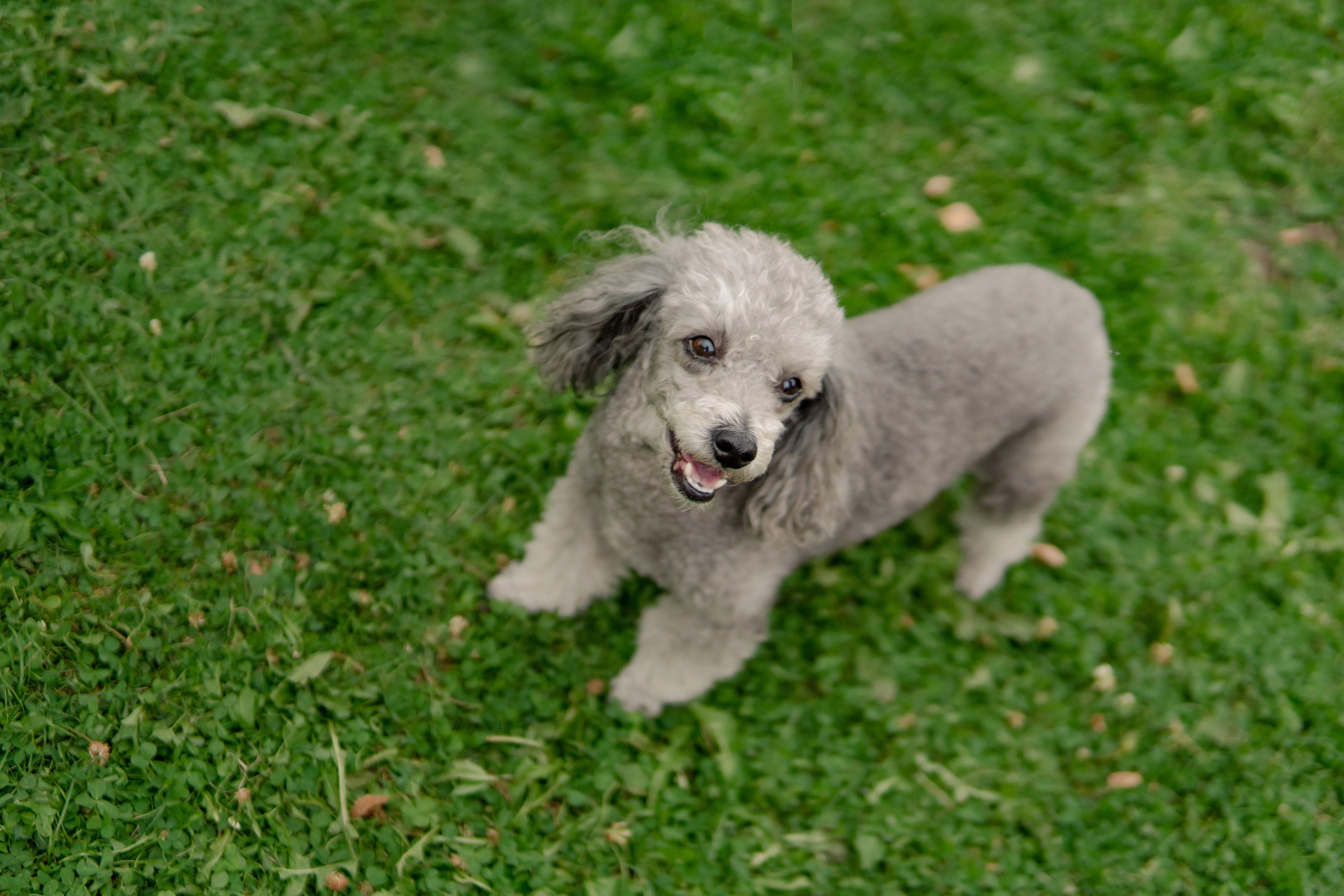 Фоторепортаж из Деревни Мира