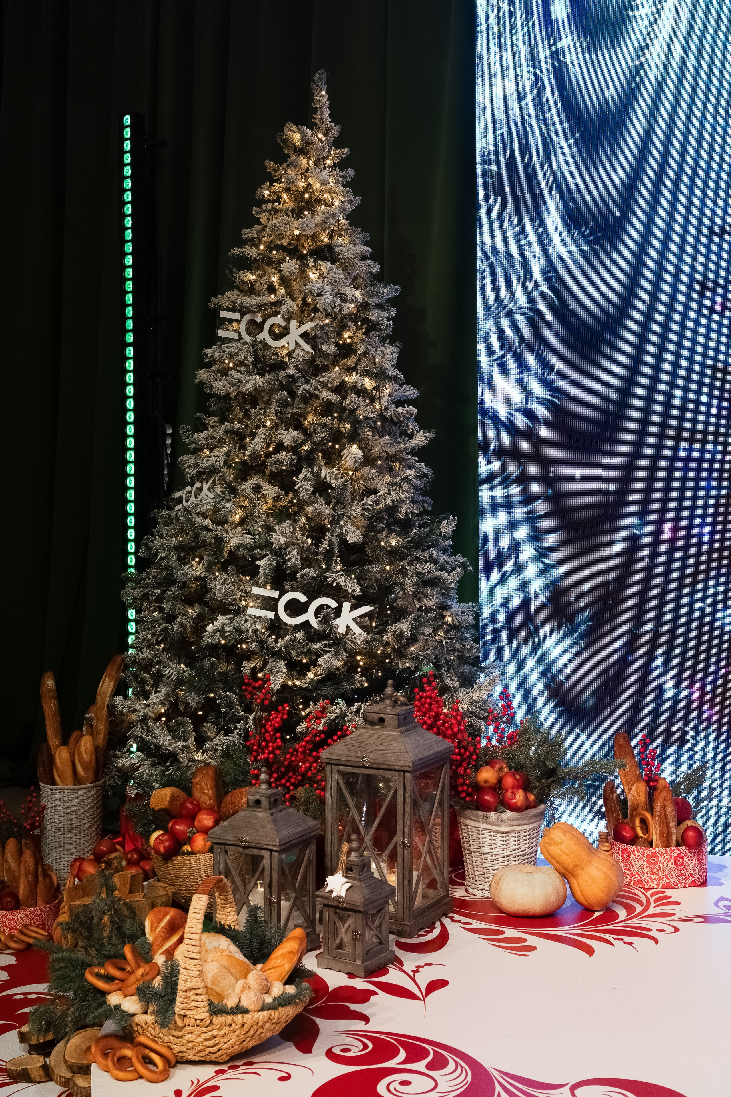 ССК. Арина Тамочкина. Фотограф Краснодарю