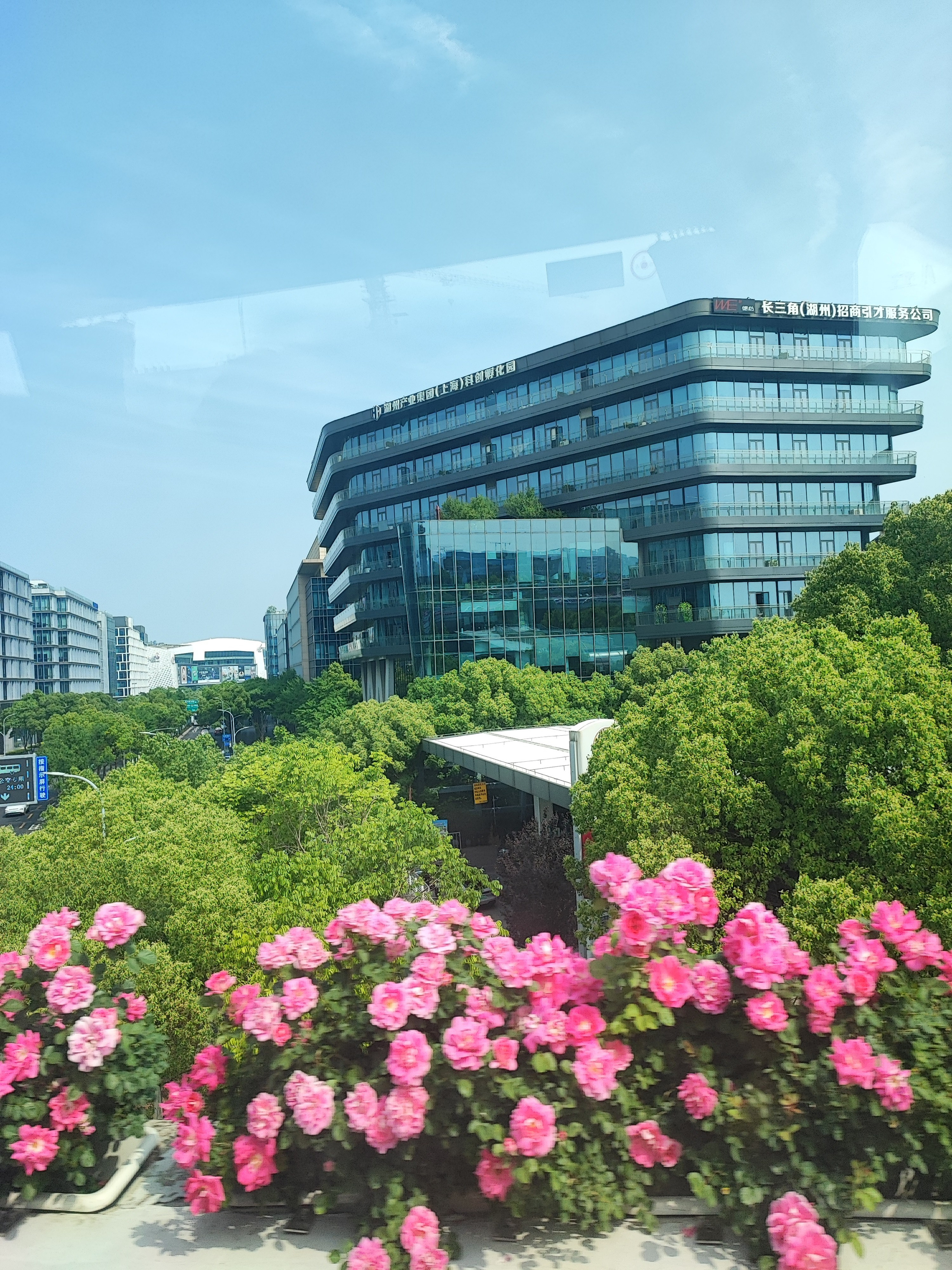 Намобилкус китайский. Репортажный фотограф Алексей Пирязев