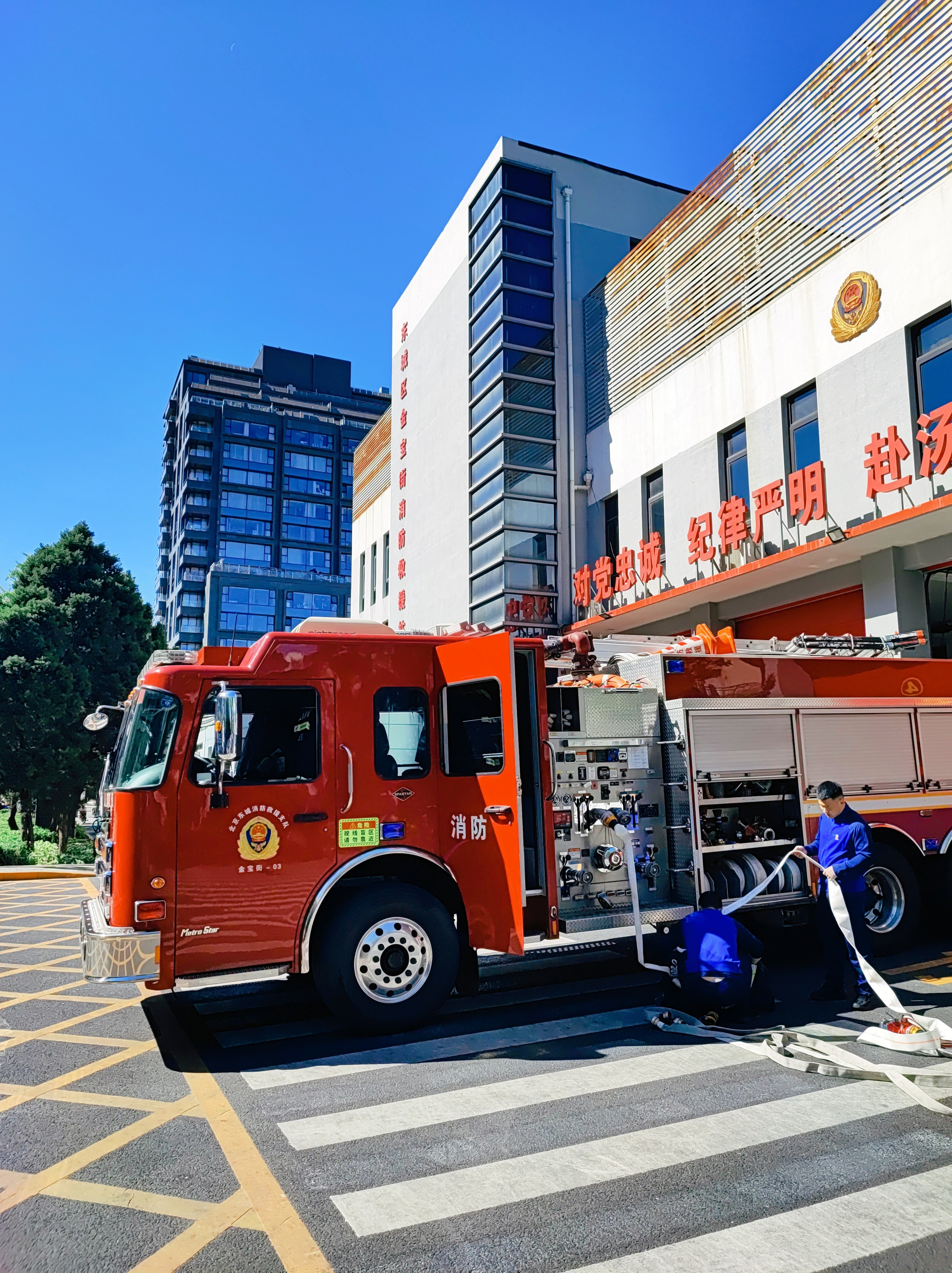Намобилкус китайский. Репортажный фотограф Алексей Пирязев