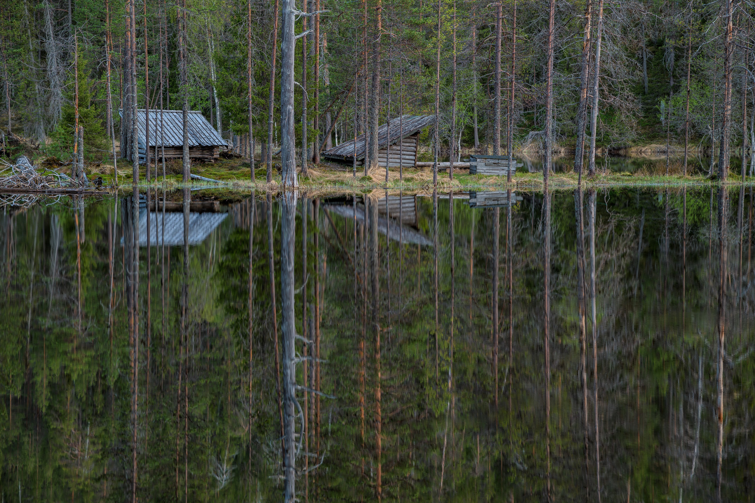 Лето. Северные Ночи
