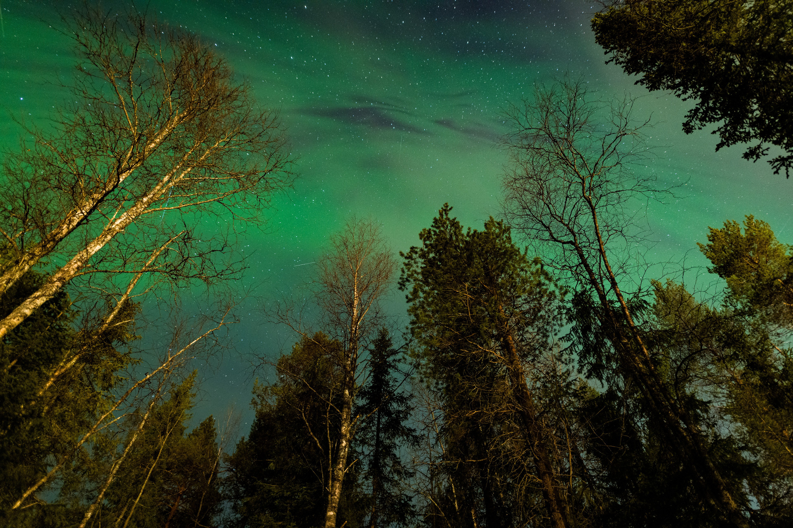 Полярное Сияние. Северные Ночи