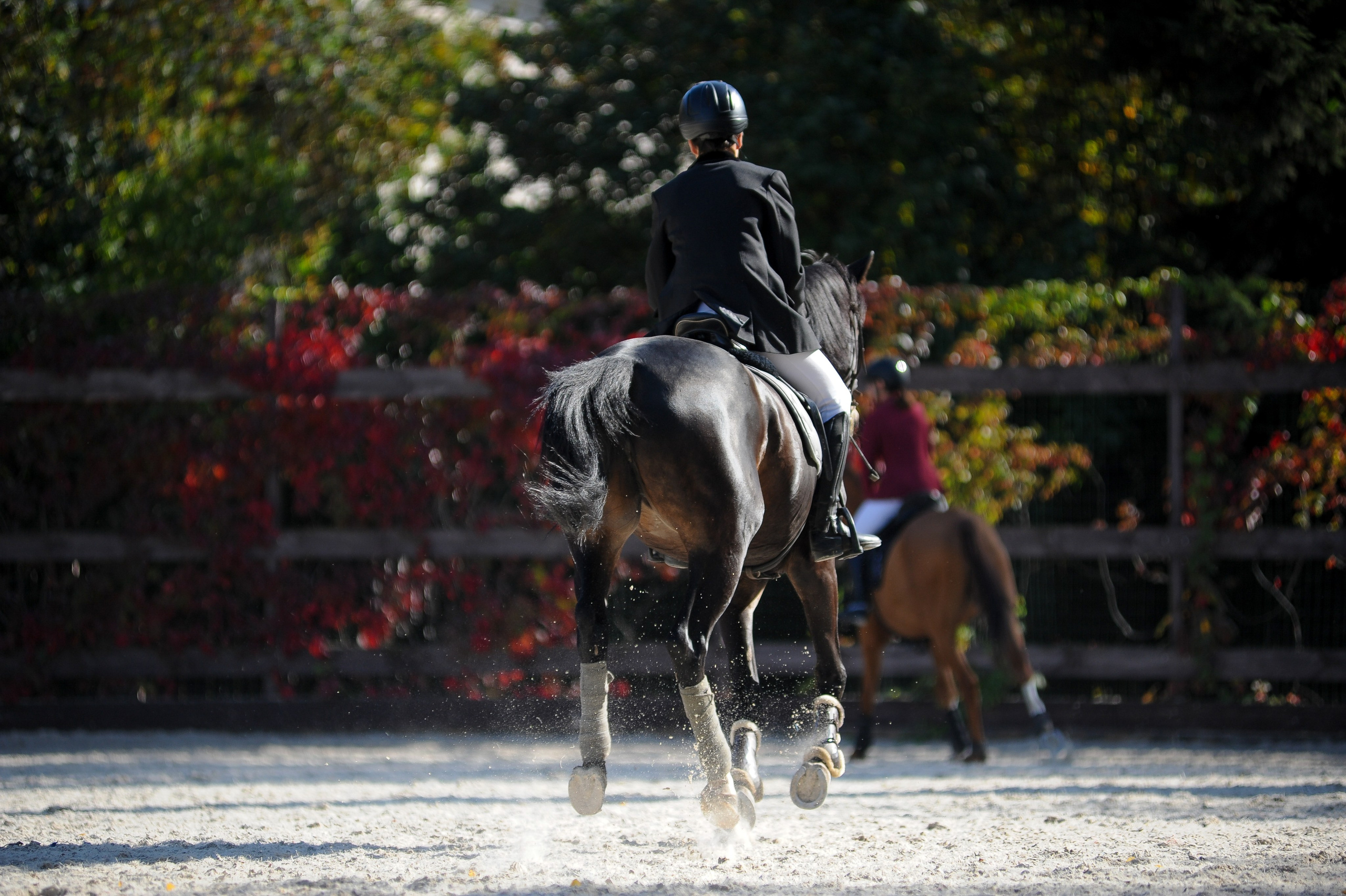 Конкур в конном клубе, репортаж Москва. Фотограф, визажист. Москва