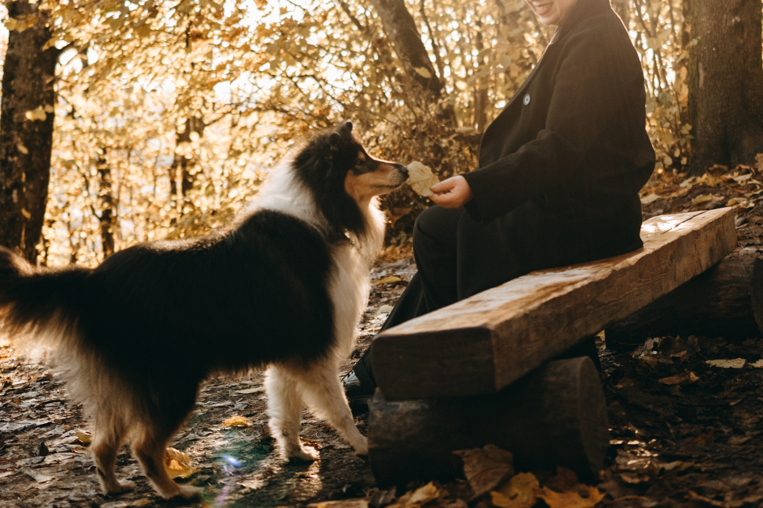 Ия и Барт. Фотограф — Анималист | Санкт-Петербург