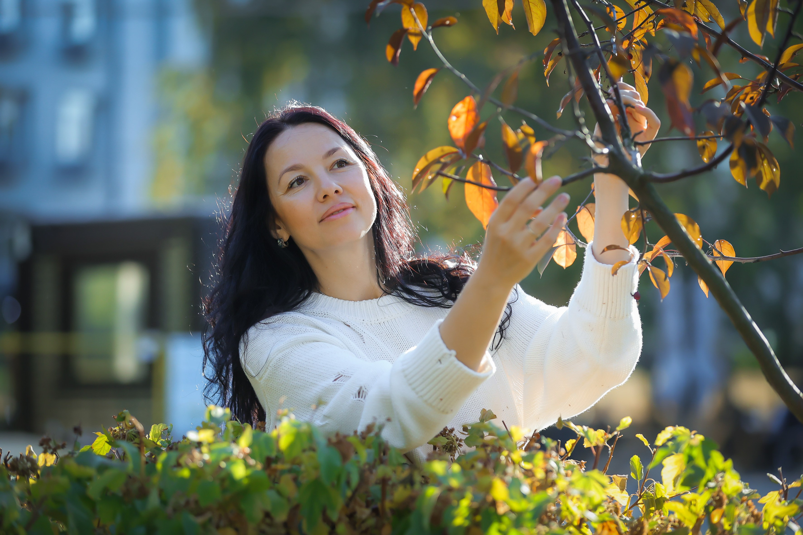 Последние теплые дни 2024. Моя фотография