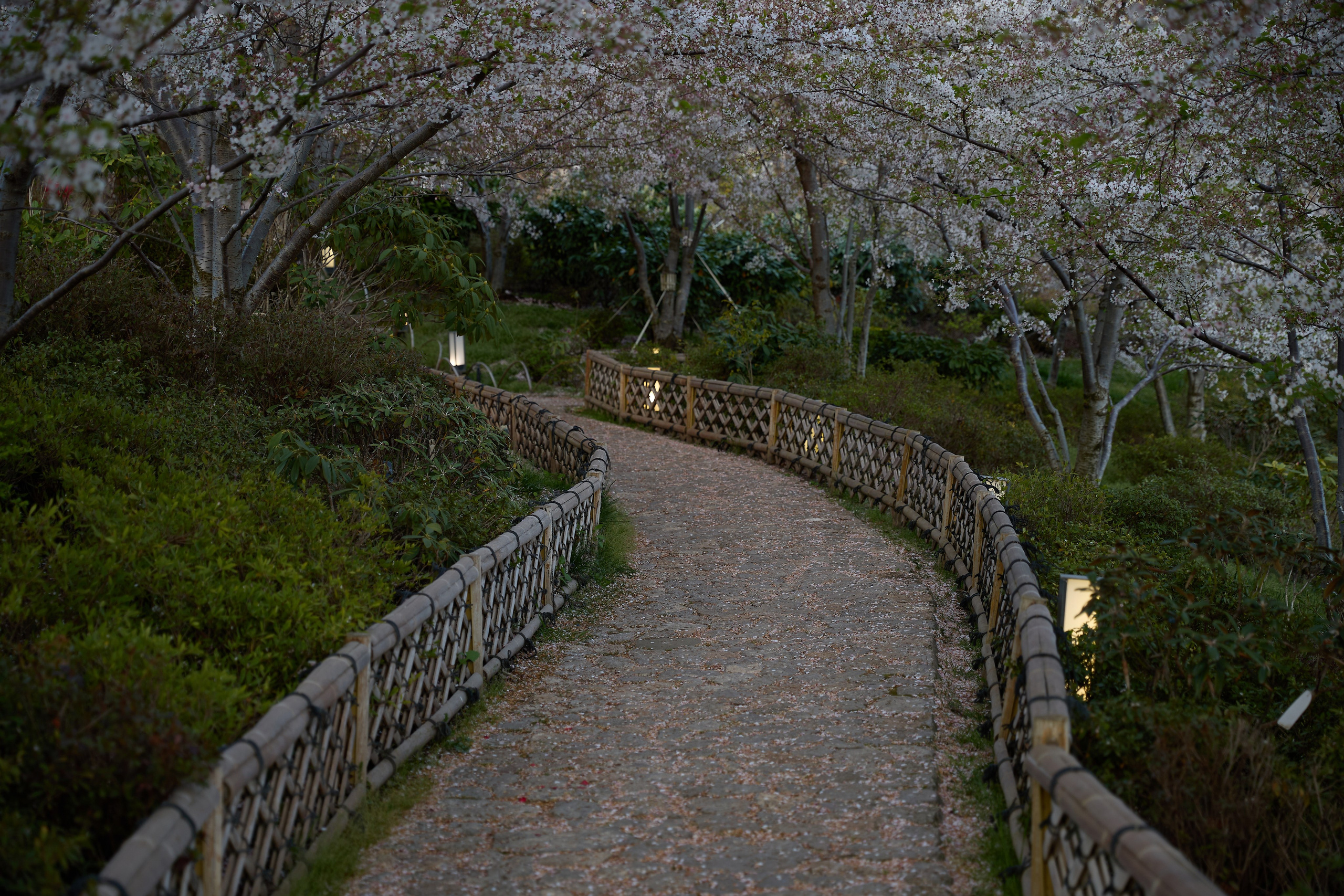 КРЫМ. Репортажный и мужской фотограф в Краснодаре. Фотограф в Краснодаре