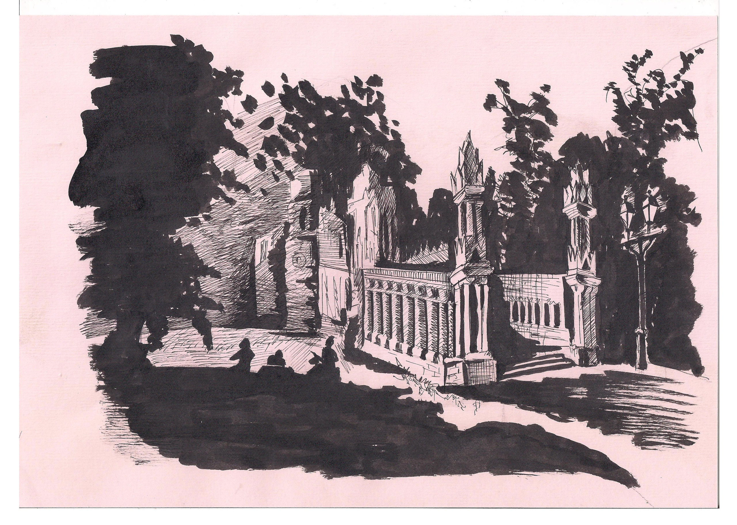 Графика. Фотограф Юлия Зимина