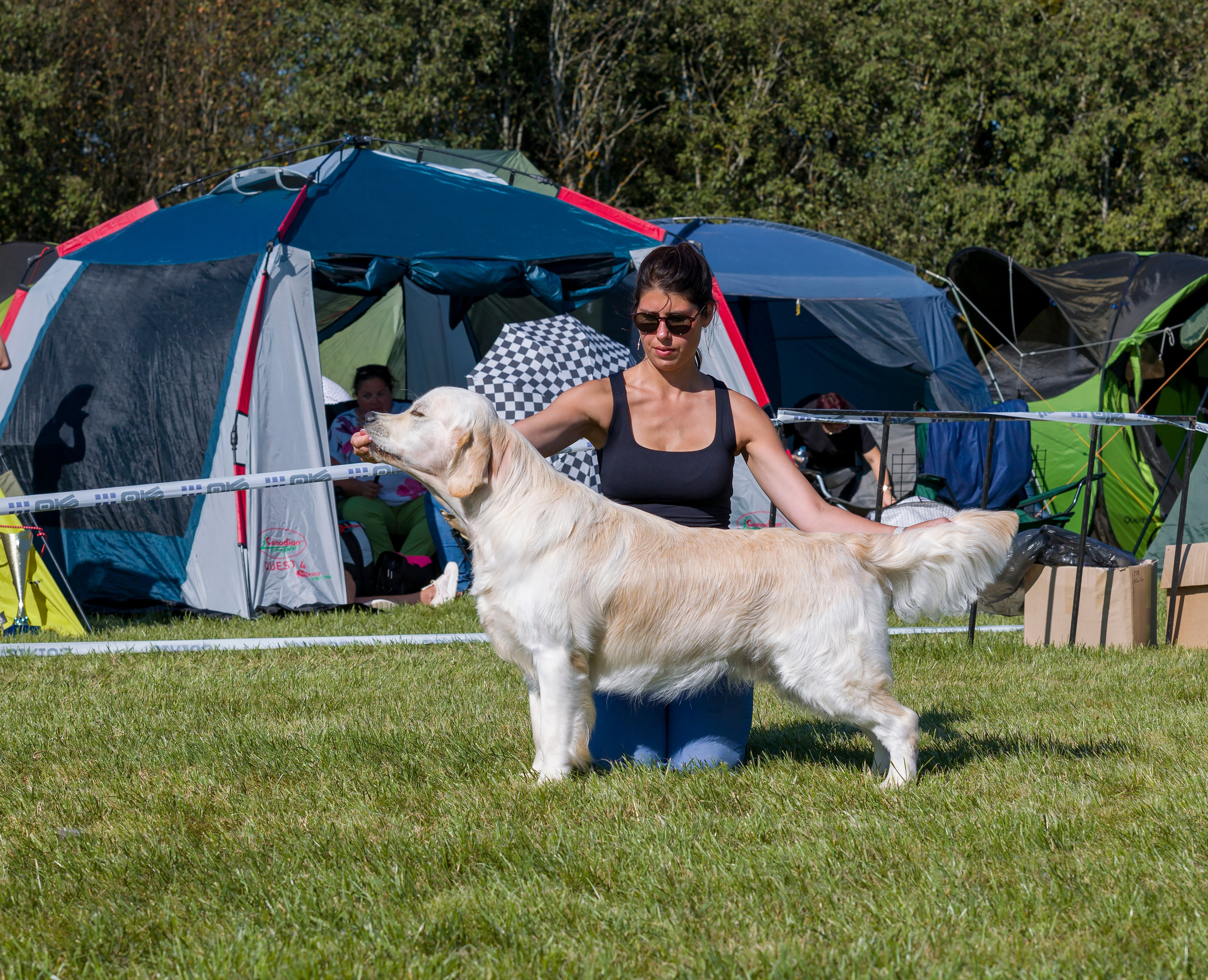 Выставки. Фотограф — анималист Татьяна Ли