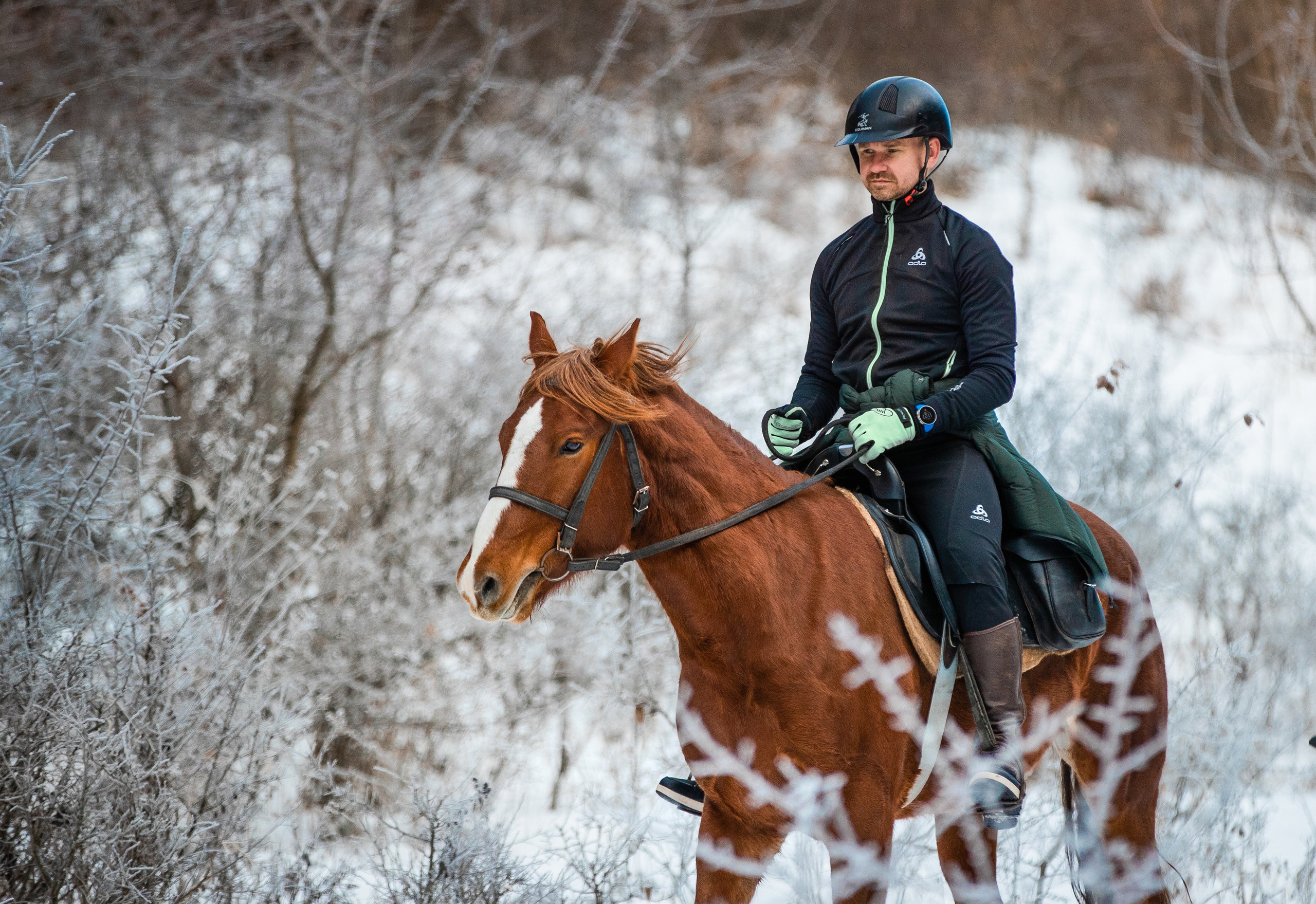 Фототуры в Карачаево-Черкессии 2019-2020. Фотограф-анималист Ксендзова Кристина
