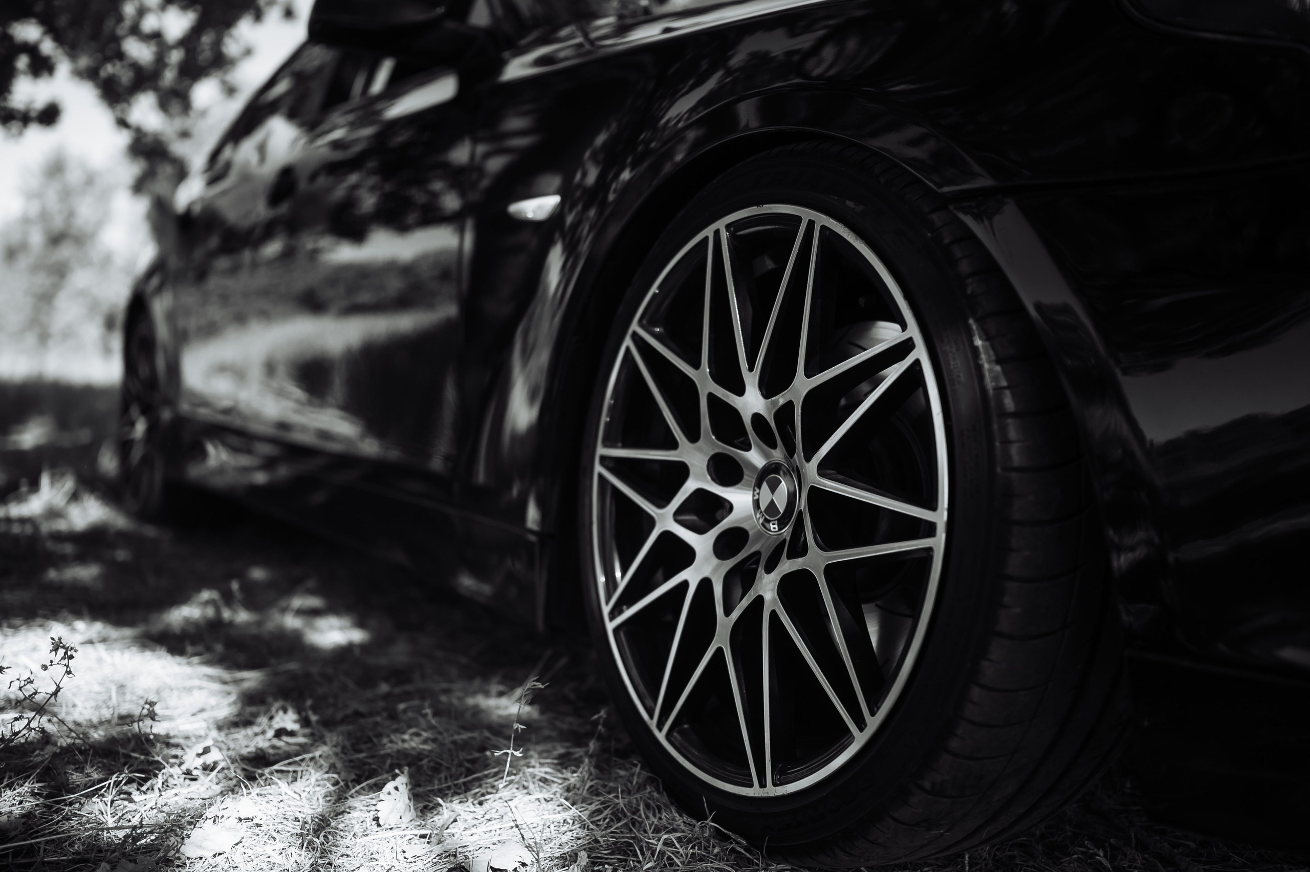 Свадебные съёмки. Свадебный фотограф в Рязани Тимофей Лапшинов