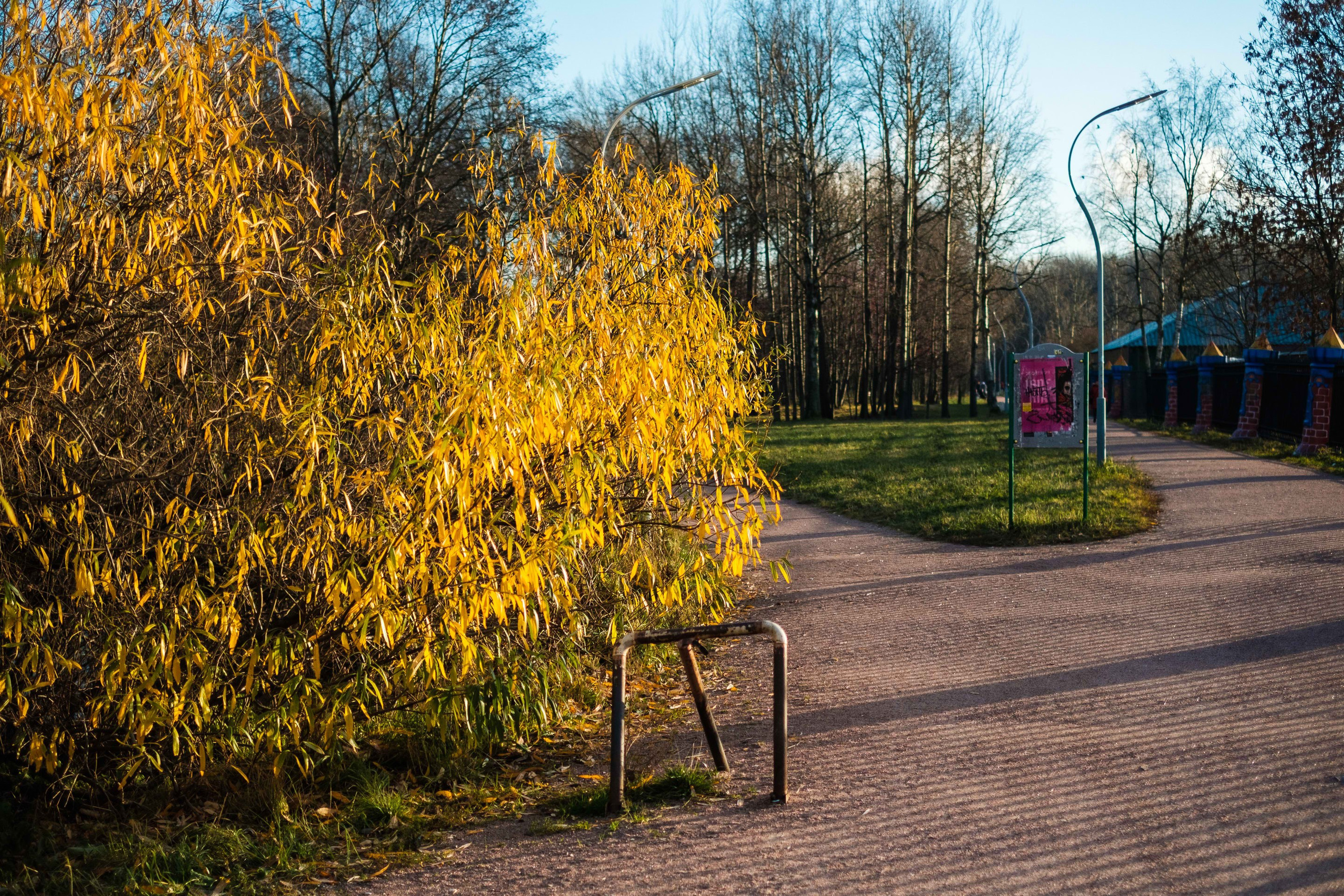 2021.11. Фотограф Алексей Алексеев