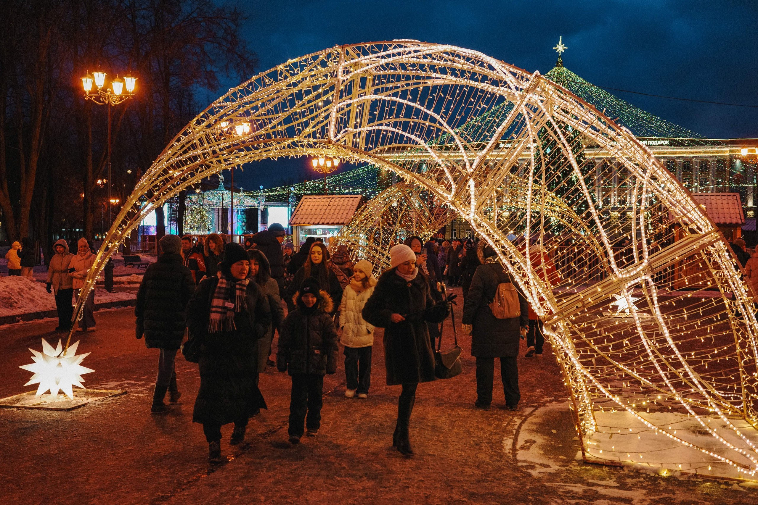 2025.01. Фотограф Алексей Алексеев