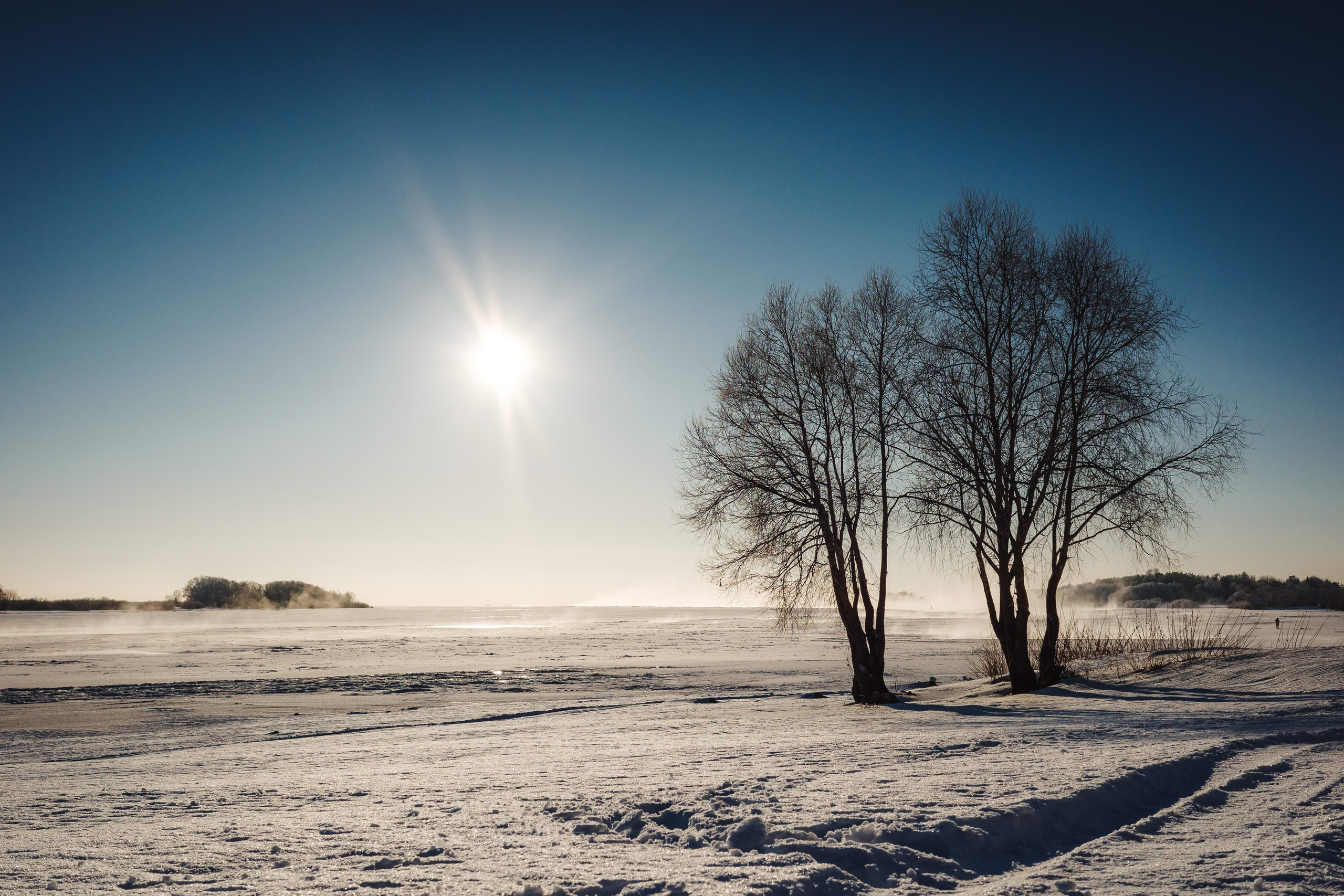 2024.01. Фотограф Алексей Алексеев