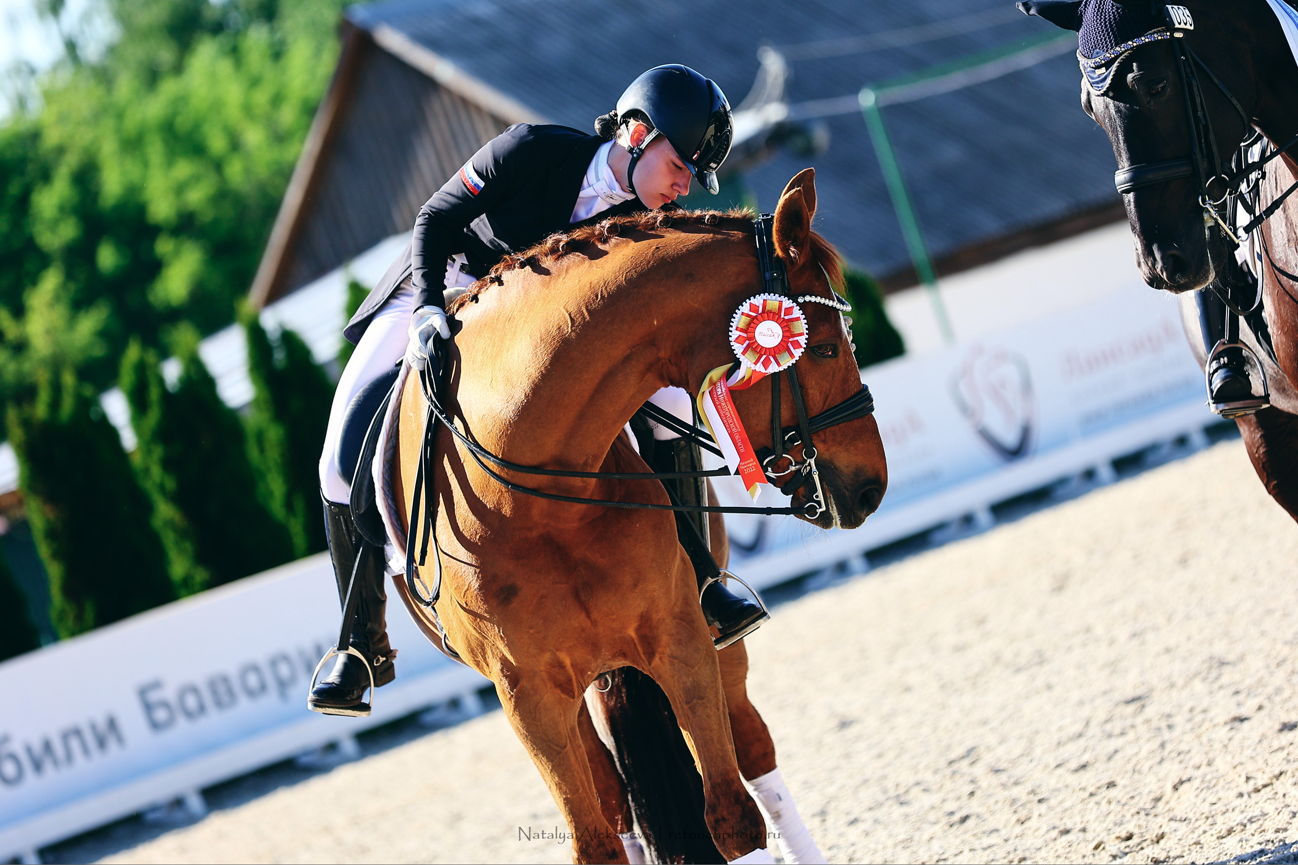 Командный Чемпионат России по выездке, КСК Пассаж | 06'2022. Репортажный фотограф и ретушер в Москве Наталья Алексеева