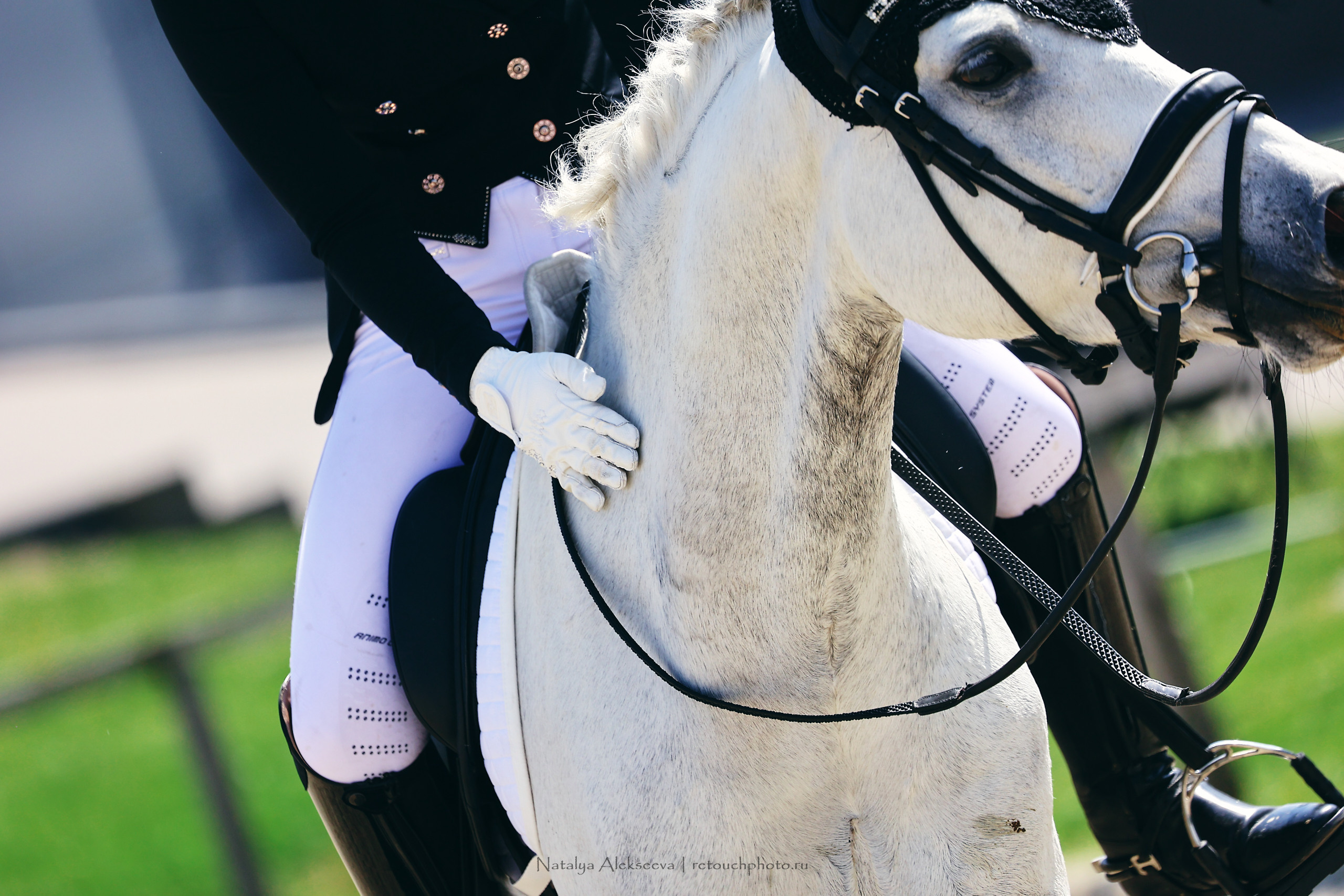 Командный Чемпионат России по выездке, КСК Пассаж | 06'2022. Репортажный фотограф и ретушер в Москве Наталья Алексеева