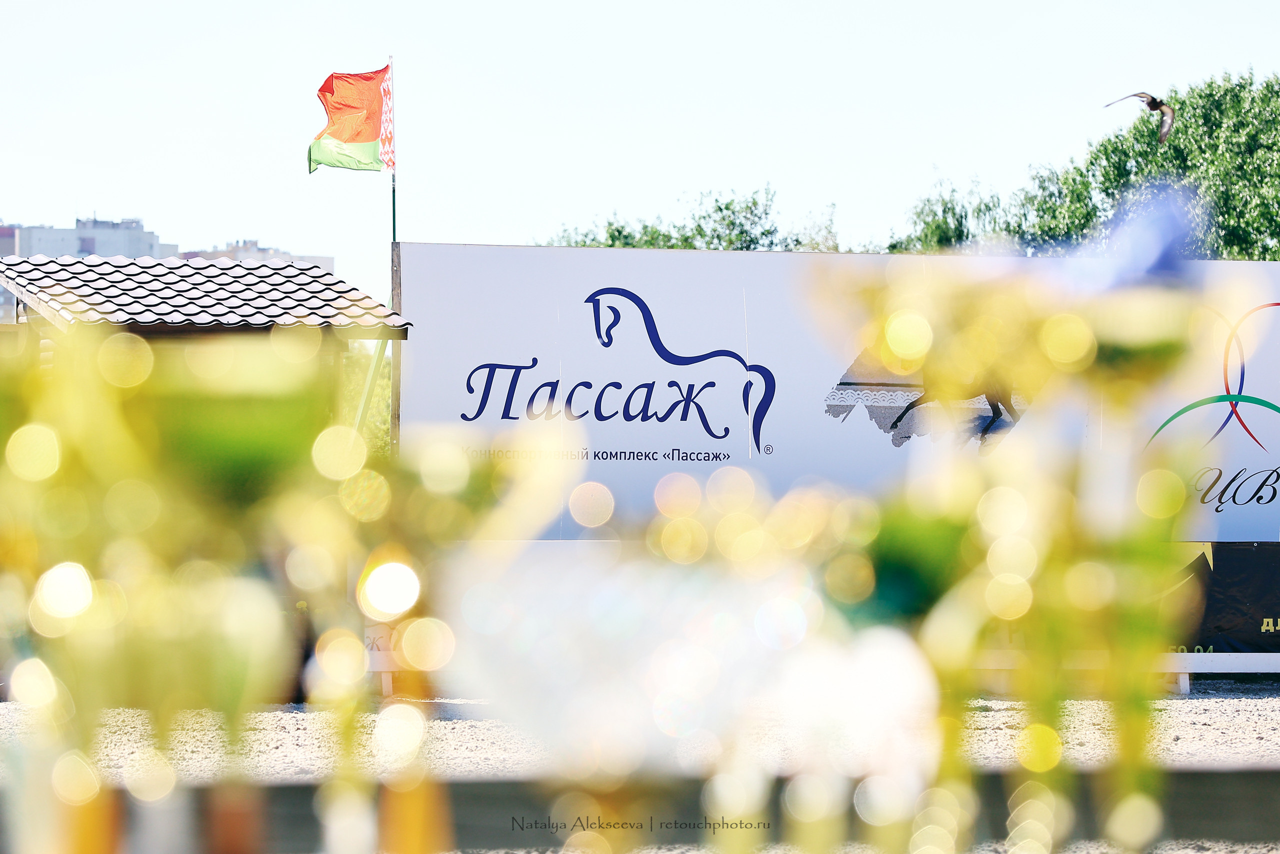 Командный Чемпионат России по выездке, КСК Пассаж | 06'2022. Репортажный фотограф и ретушер в Москве Наталья Алексеева