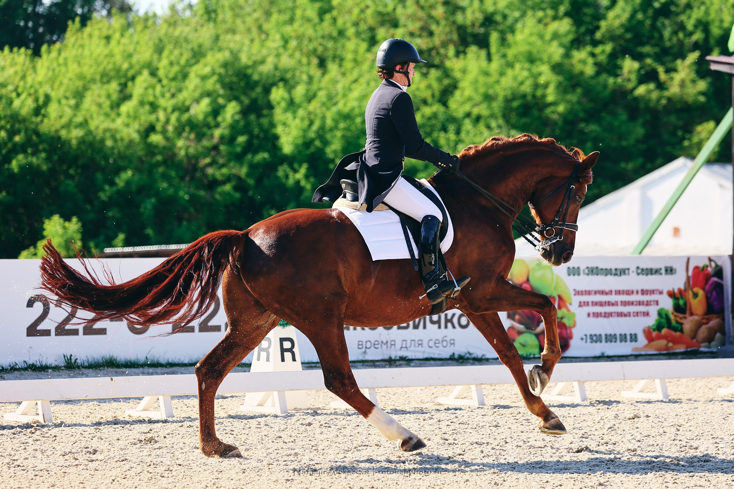 Командный Чемпионат России по выездке, КСК Пассаж | 06'2022. Репортажный фотограф и ретушер в Москве Наталья Алексеева