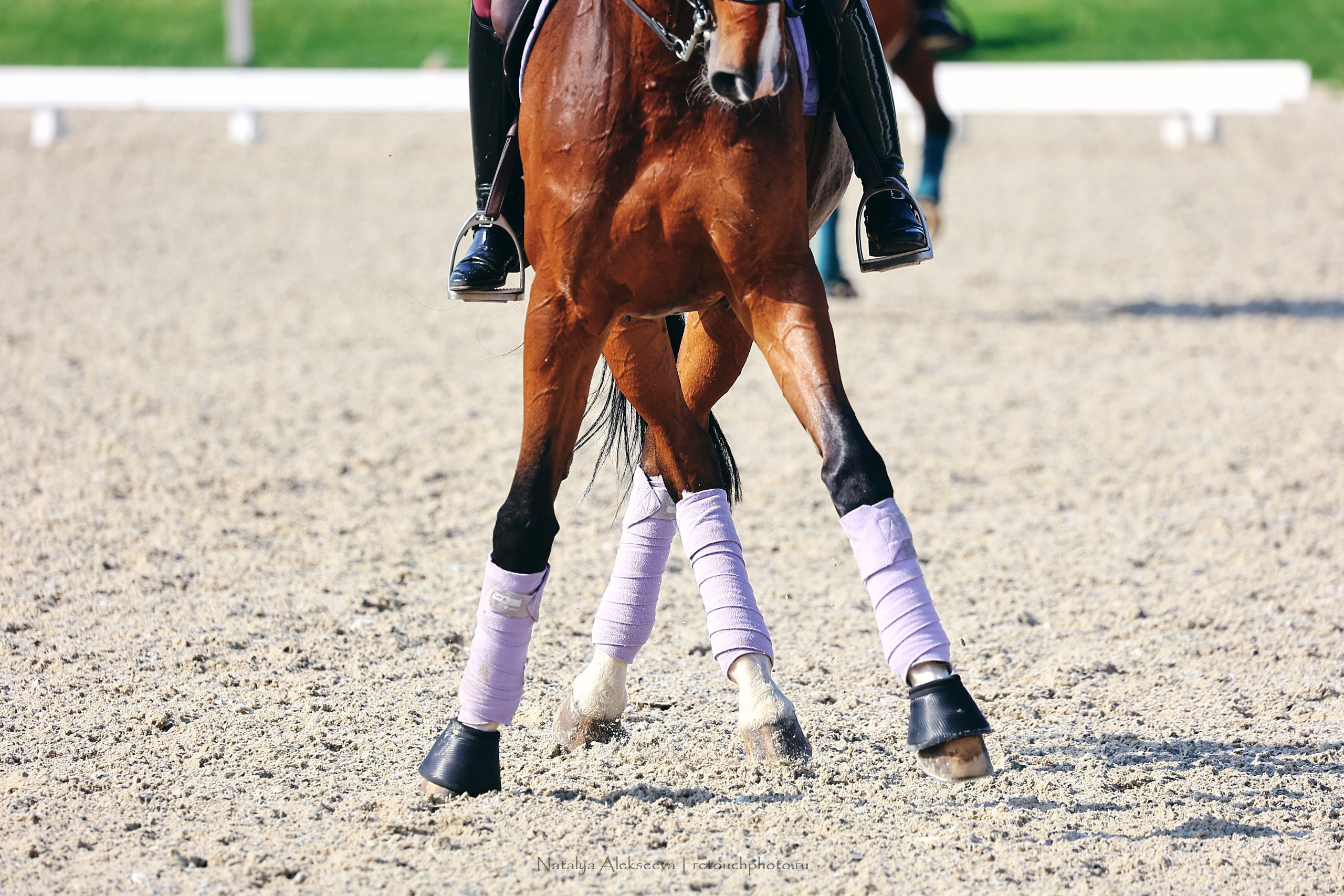 Командный Чемпионат России по выездке, КСК Пассаж | 06'2022. Репортажный фотограф и ретушер в Москве Наталья Алексеева