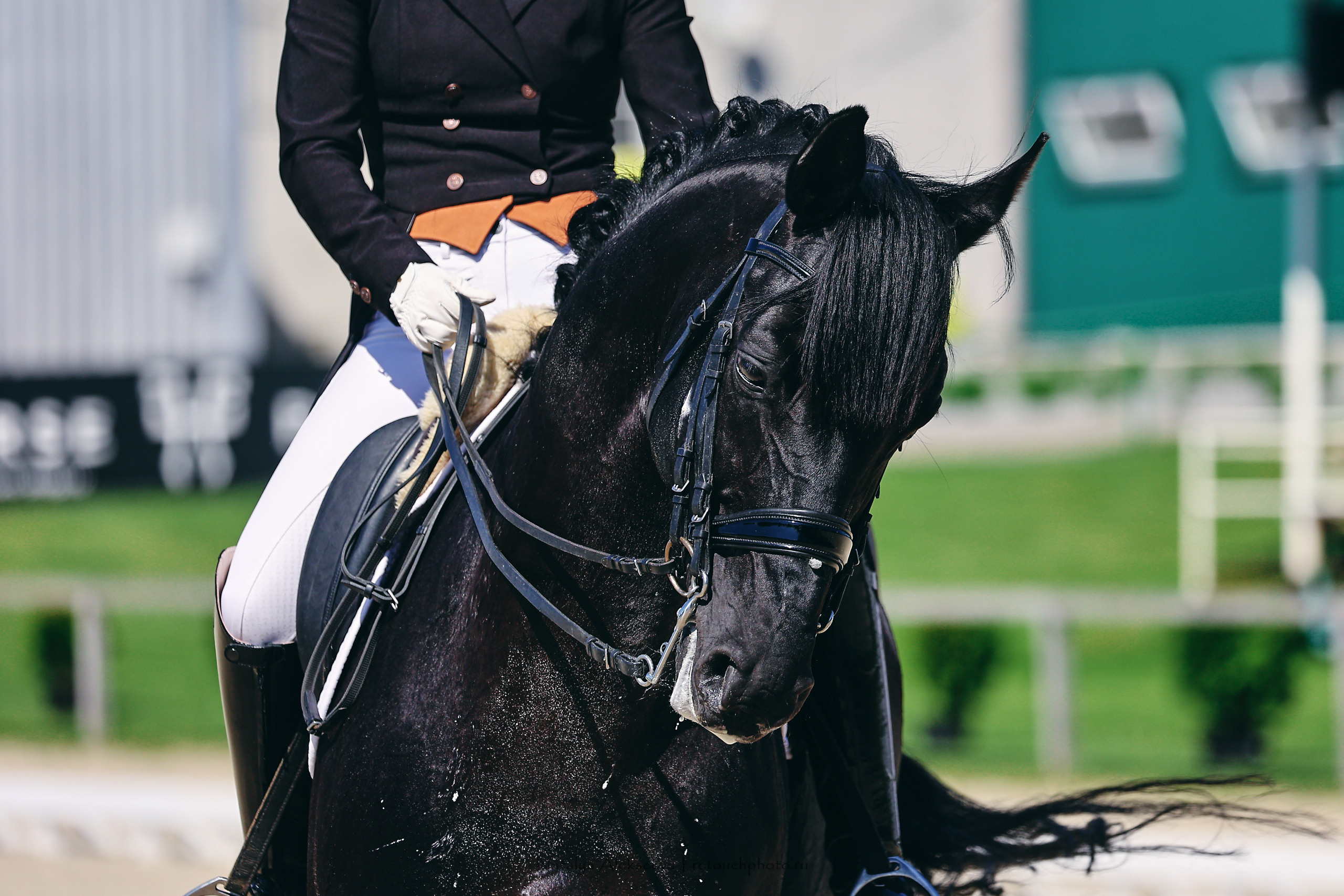 Командный Чемпионат России по выездке, КСК Пассаж | 06'2022. Репортажный фотограф и ретушер в Москве Наталья Алексеева