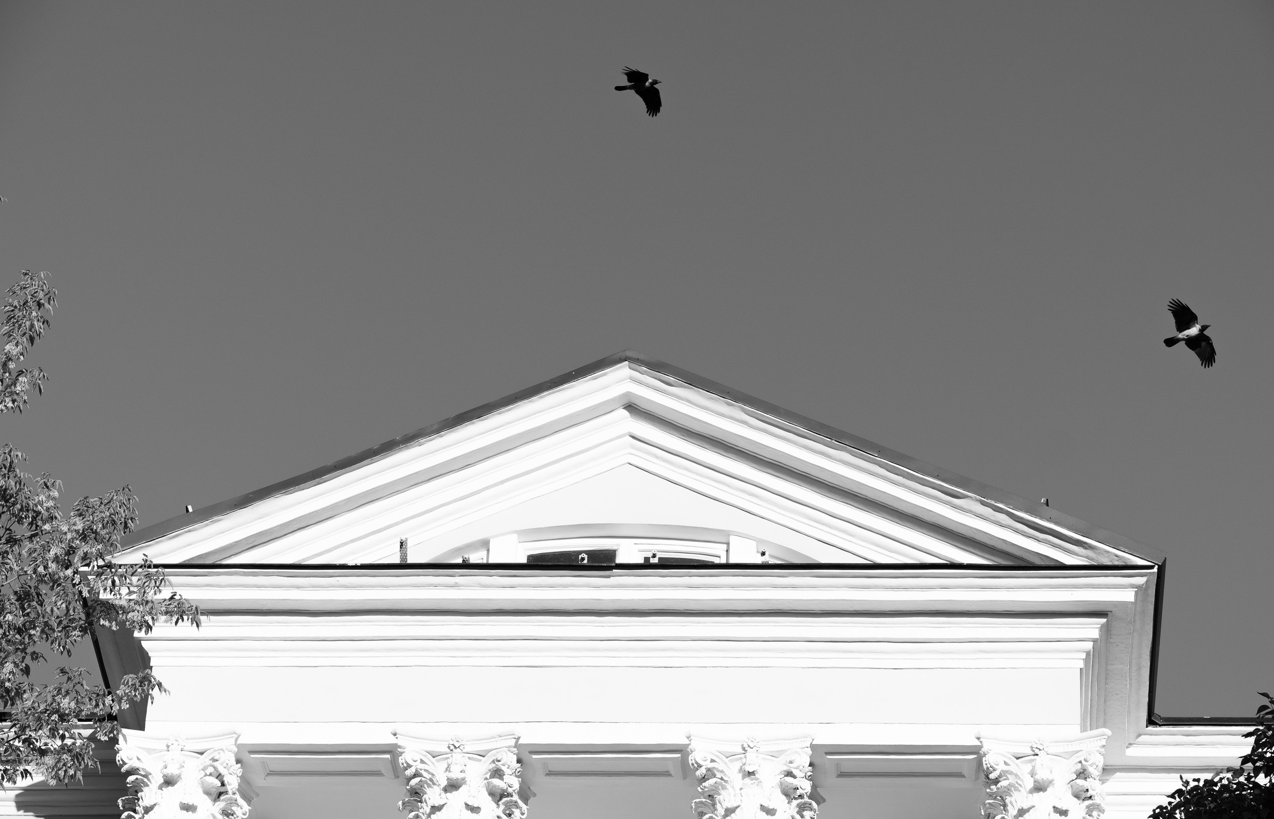 Черно-белое. KRUTOVA_фотографирую жизнь