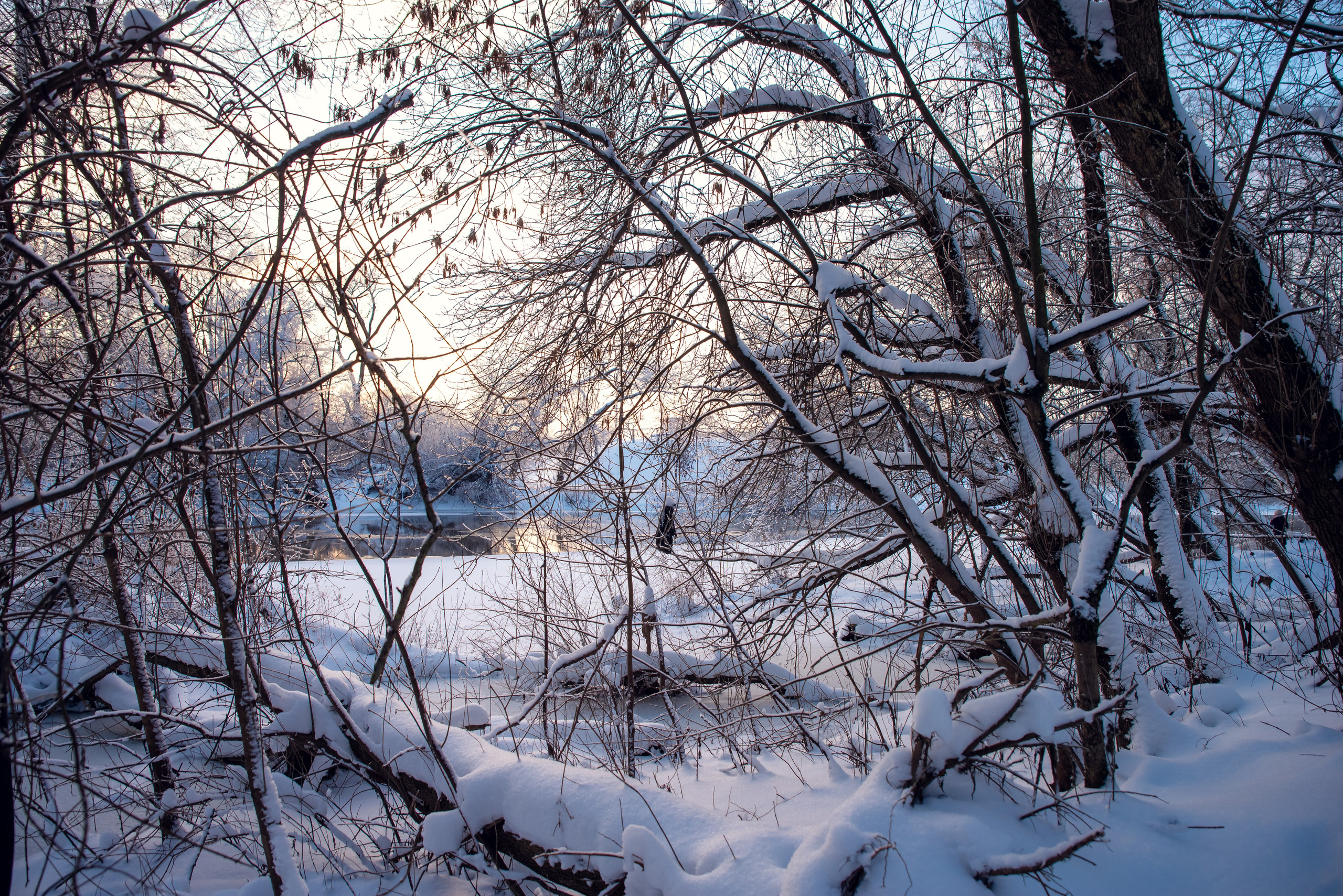 Зимушка зима. Фотограф Крещение Венчание Москва