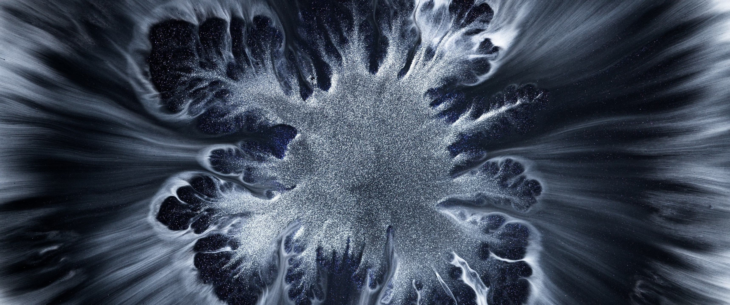 Genesis. Short films by Vadim Sherbakov