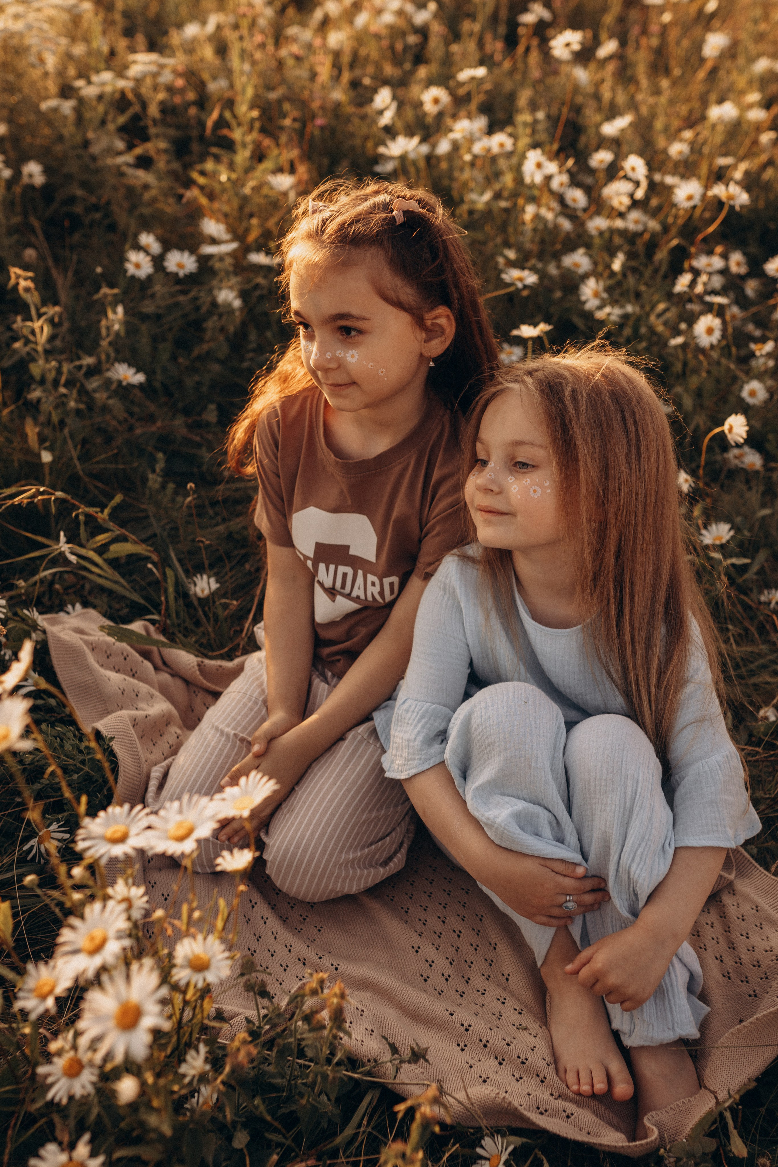 Закат на ромашковом поле. Фотограф в Ставрополе Svetlana Matveeva