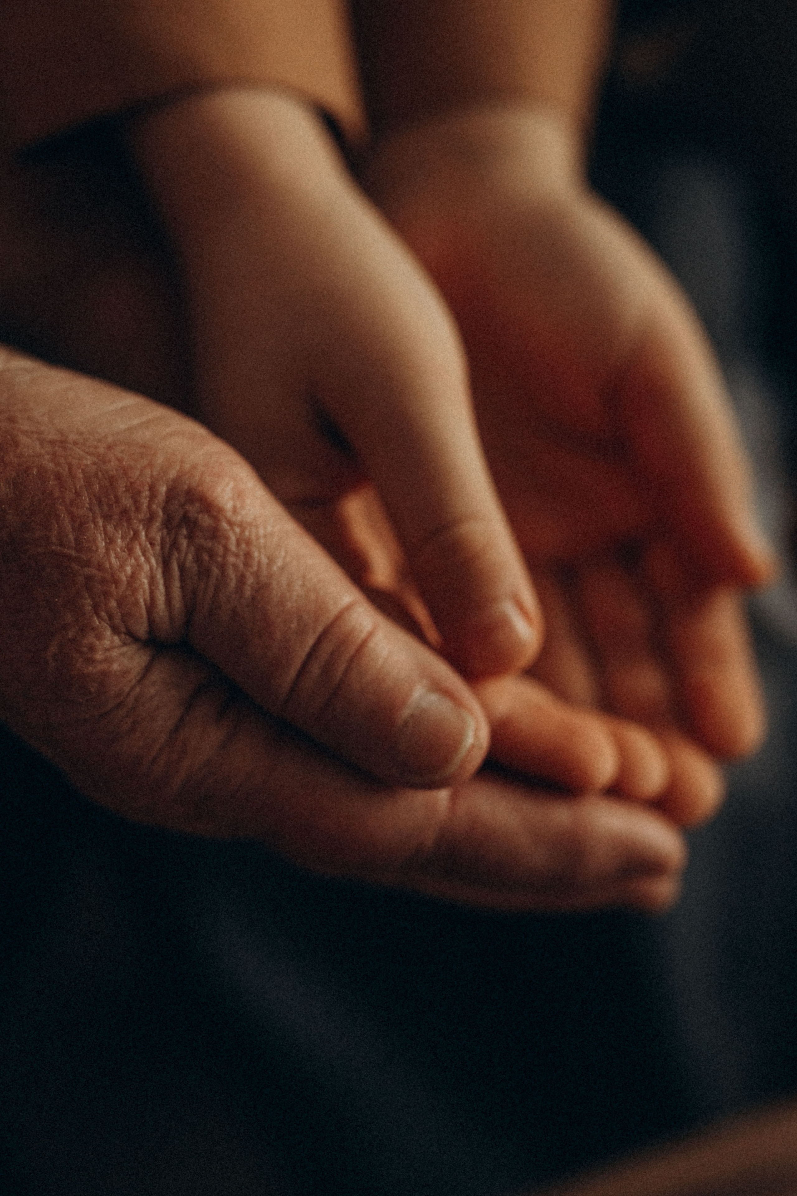 Поколение. Фотограф в Ставрополе Svetlana Matveeva