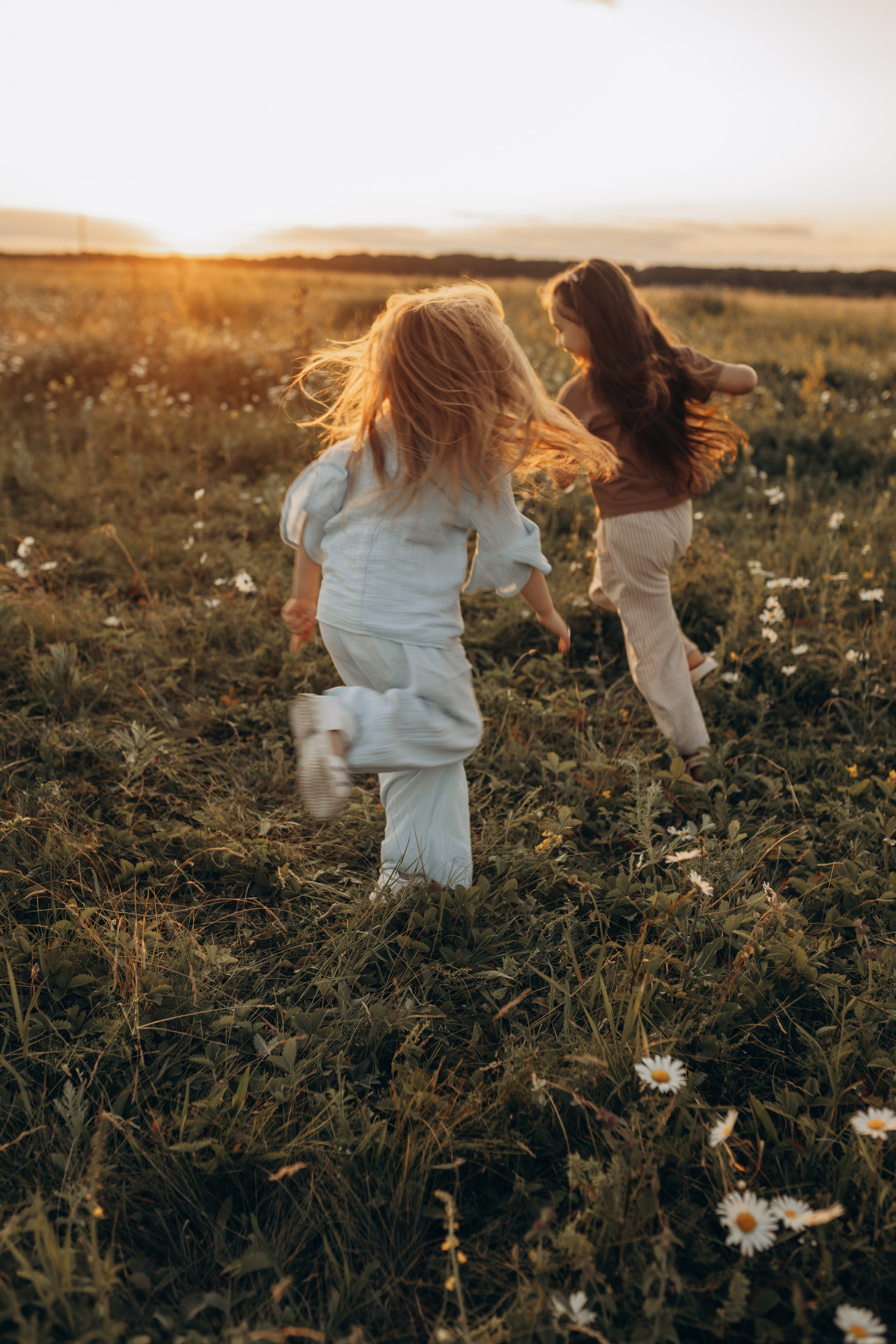 Закат на ромашковом поле. Фотограф в Ставрополе Svetlana Matveeva