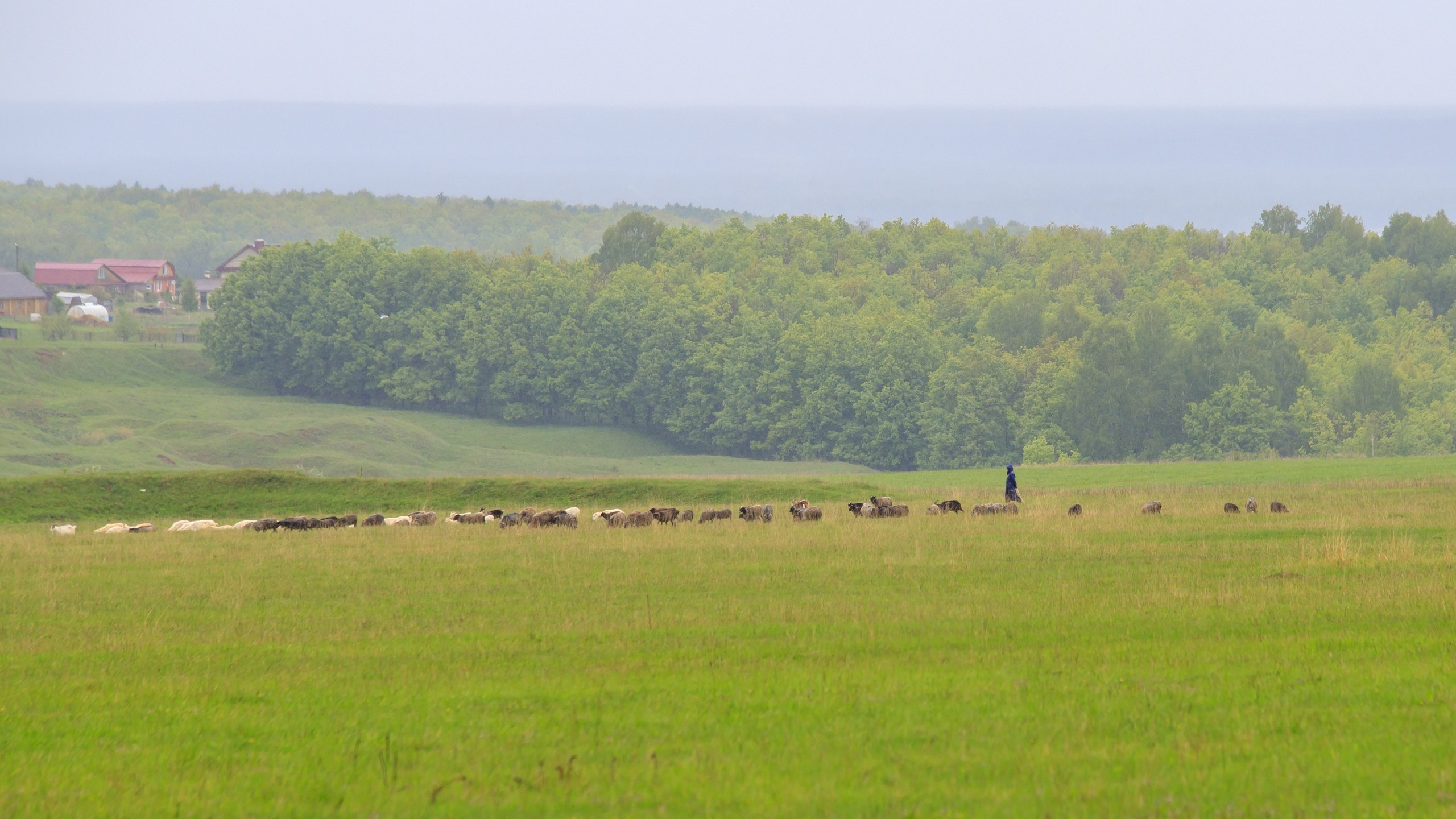 Пейзажная фотосъемка. Владимир Суздалов (ProMaXe) — Портретный фотограф, тематические фотосессии в Чебоксарах