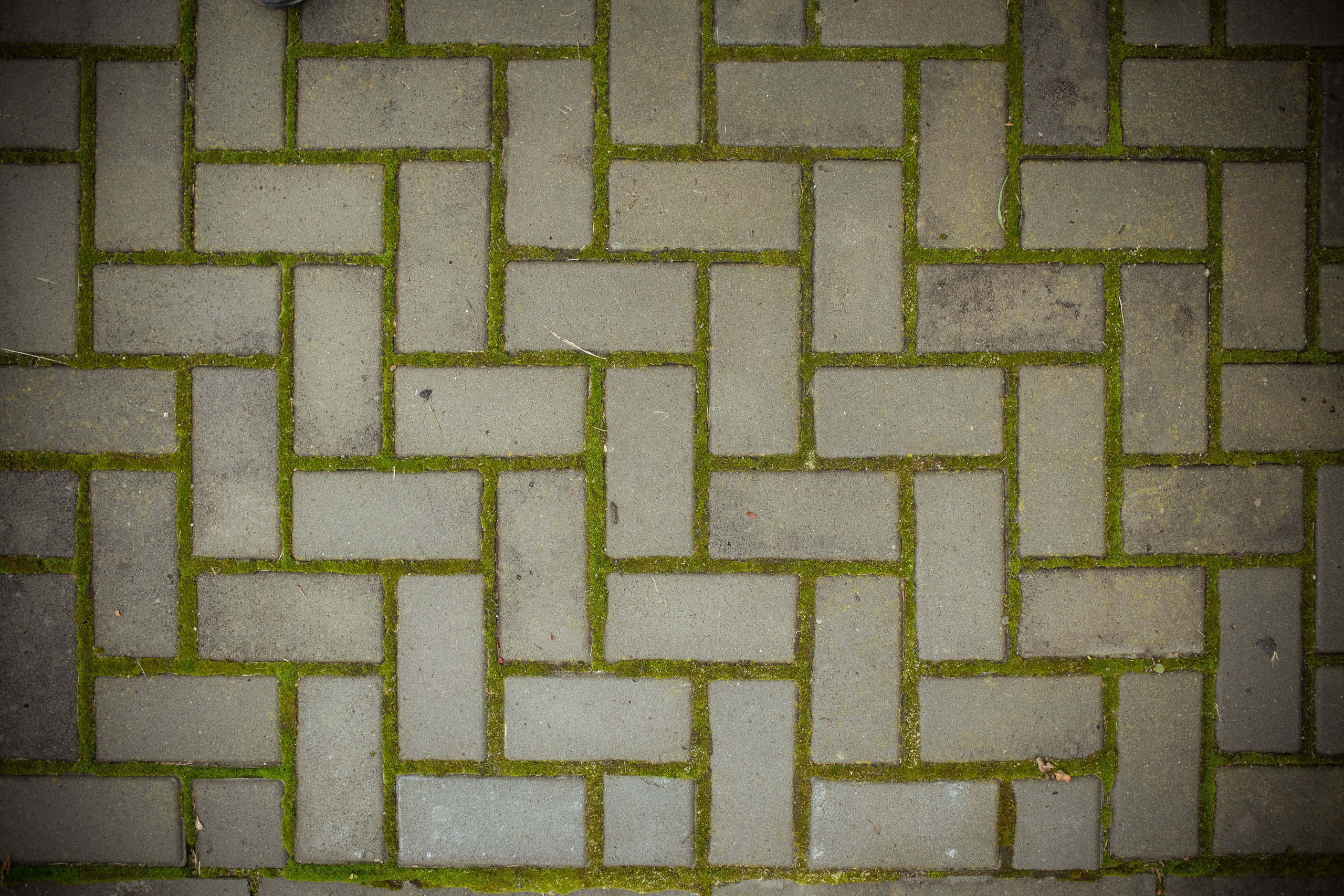 Новозыбков (осень 2021). Фотограф Виноградов Константин