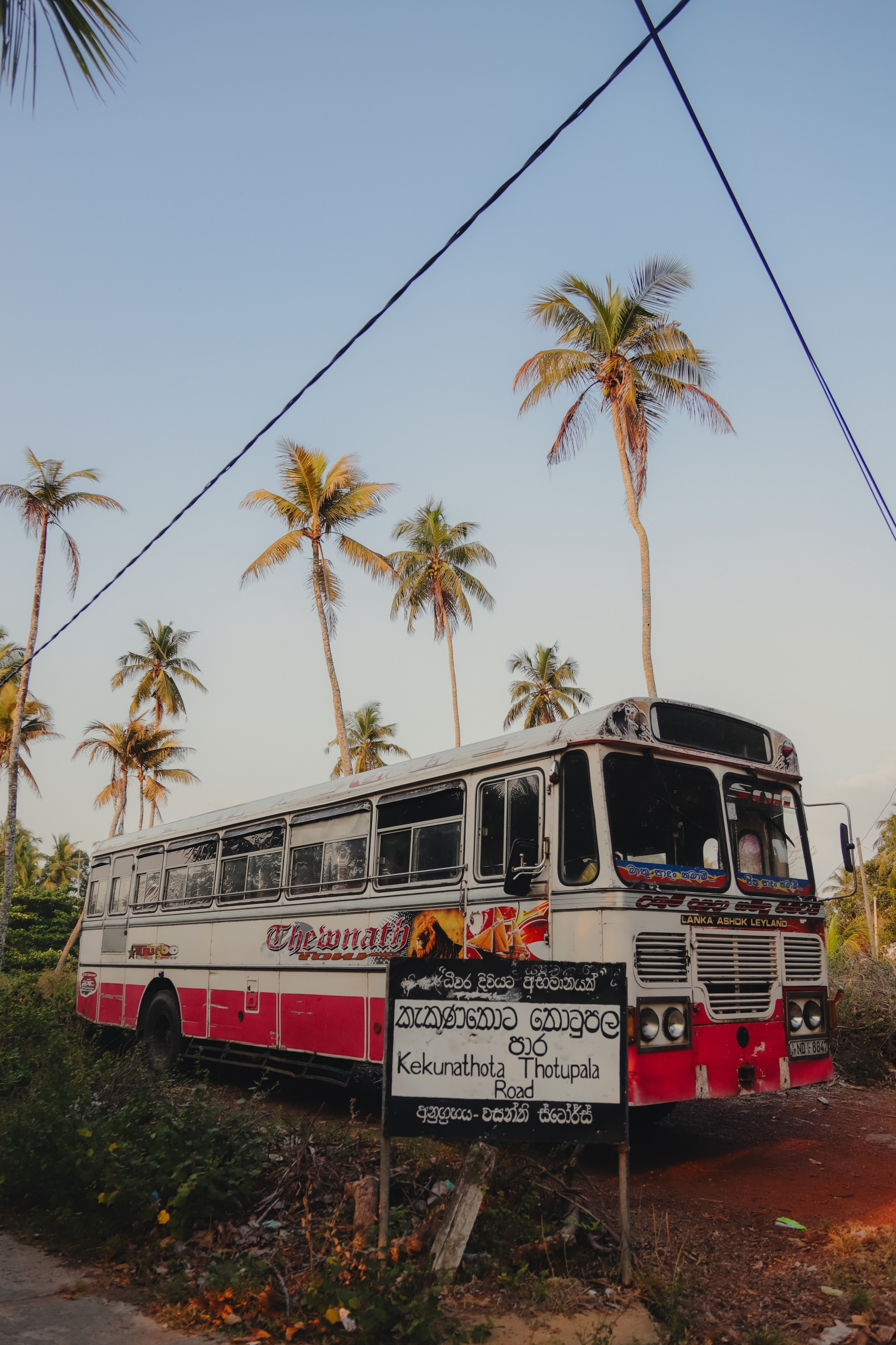 Шри-Ланка. Фотограф Юля Постнова