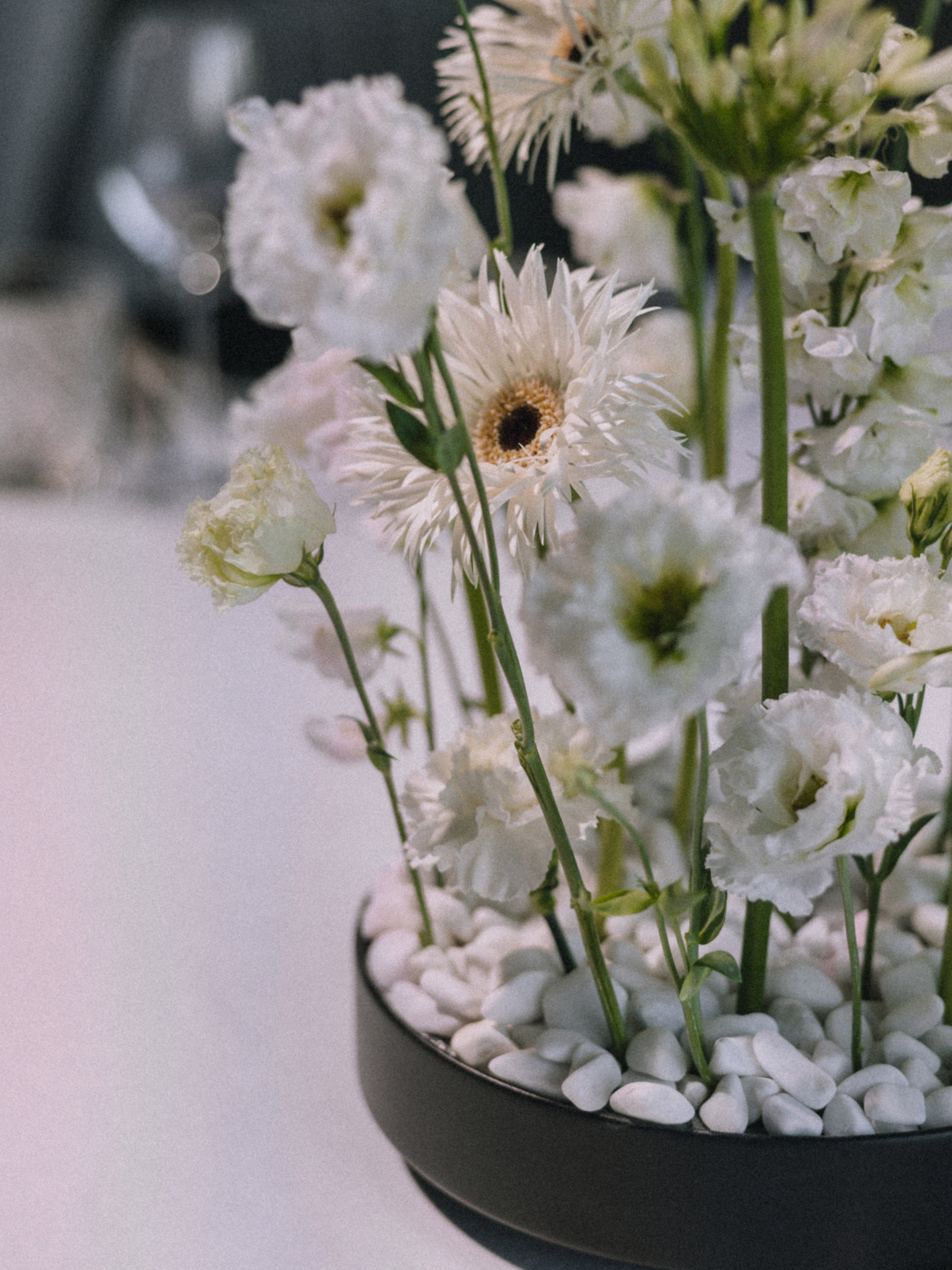 Антон Даша. Фотограф Артем Котелевец