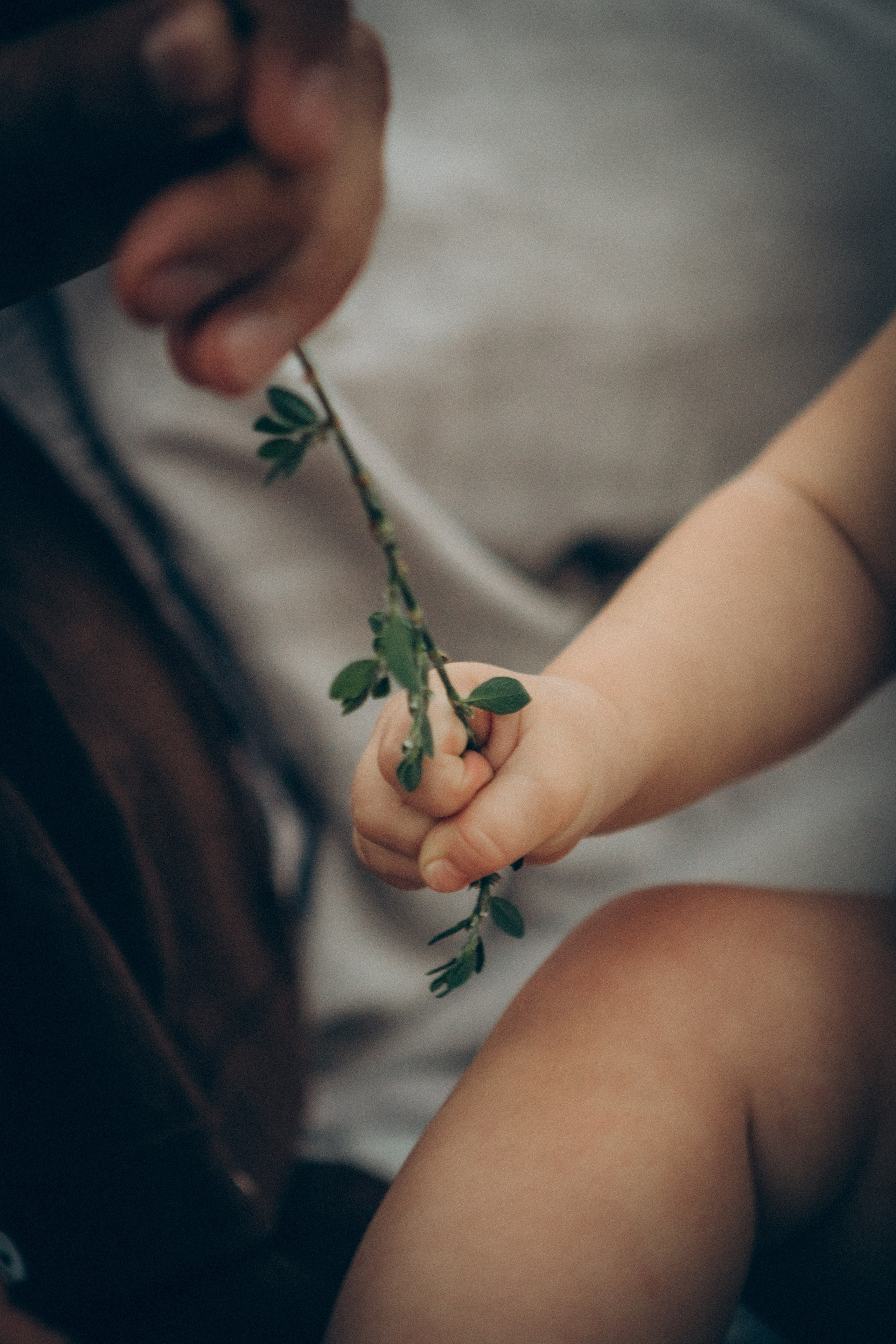 Family moments. Семейный фотограф и фотограф на роды в Ростове-на-Дону Мухина Виктория