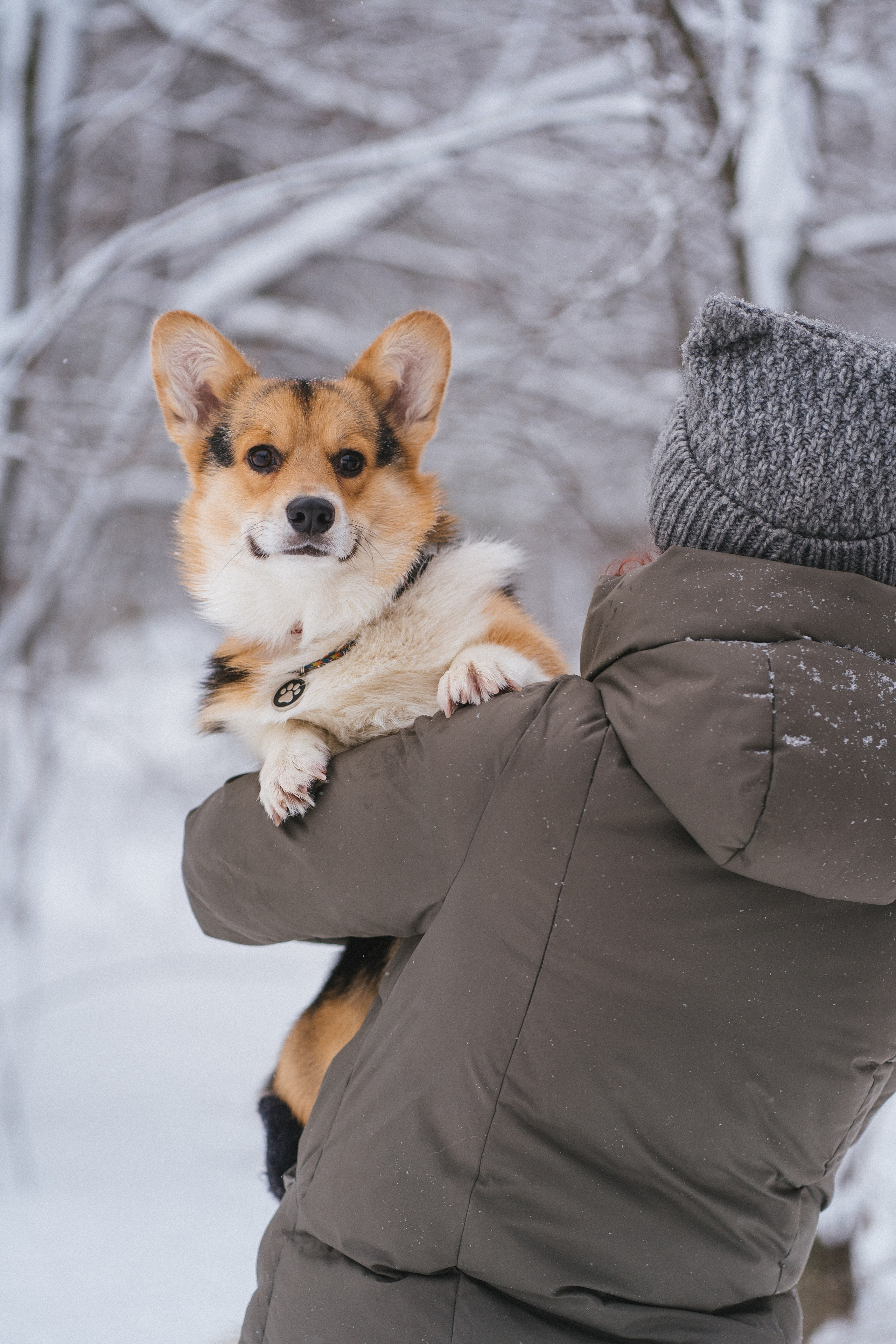 Каспер и Полина. Свадебный фотограф в Москве Анна Полушина
