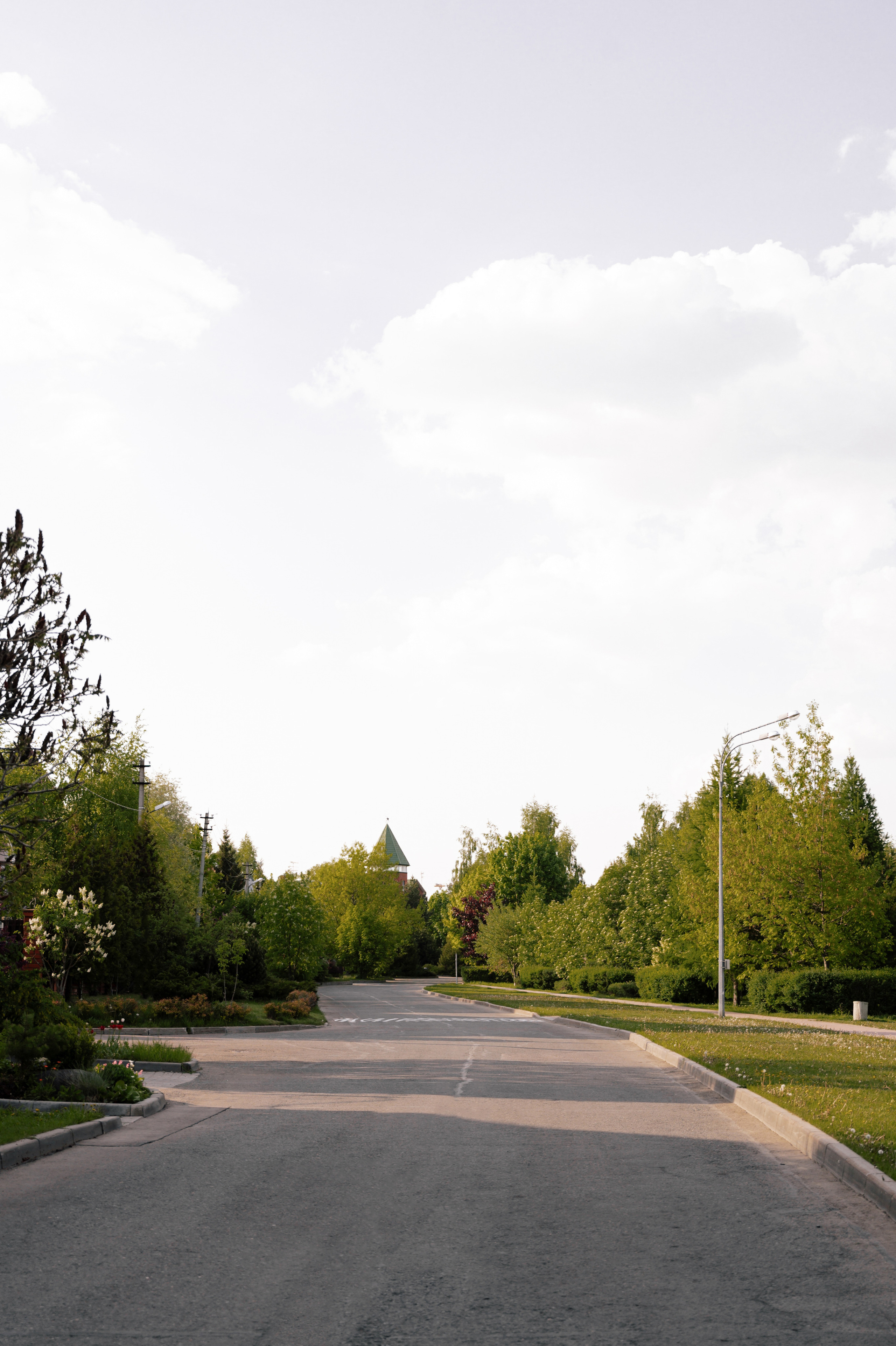 Юра. Актер кино. Свадебный и семейный фотограф Вероника Холод