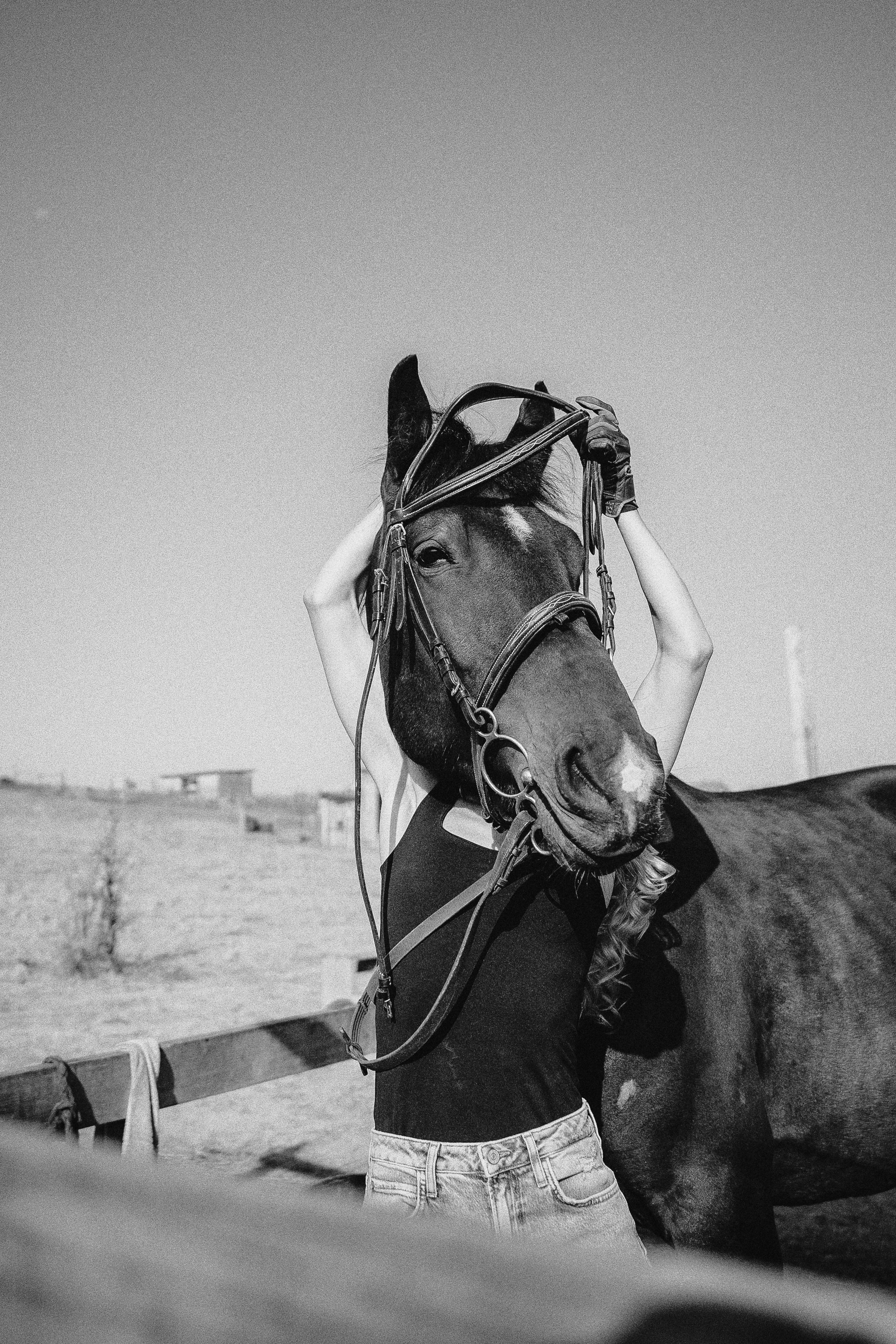 BlackHorse. Фотограф в Анапе Муратова Анна