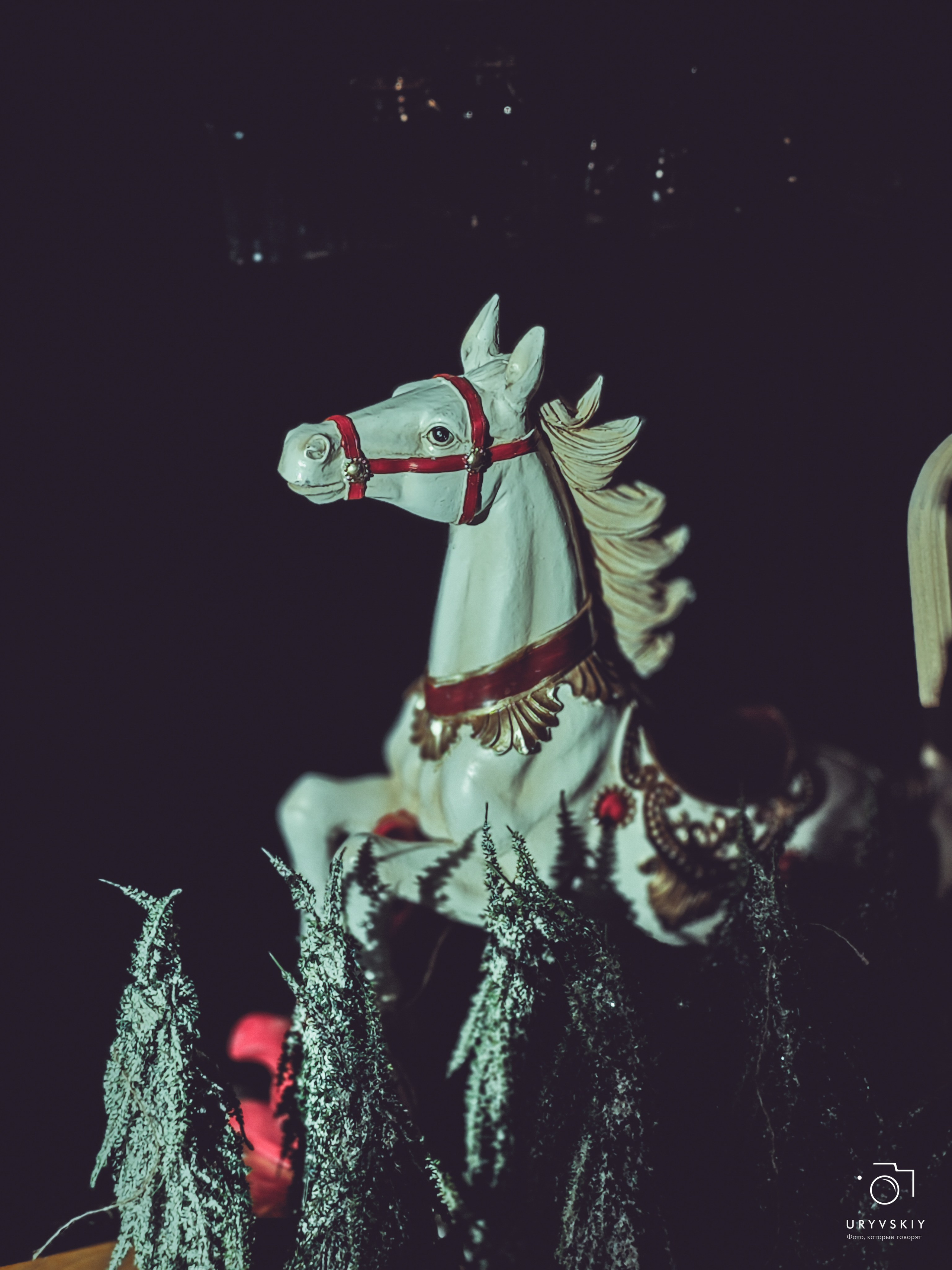 Bellini Осенний маркет. Игорь Урывский. Фотограф Красноярск