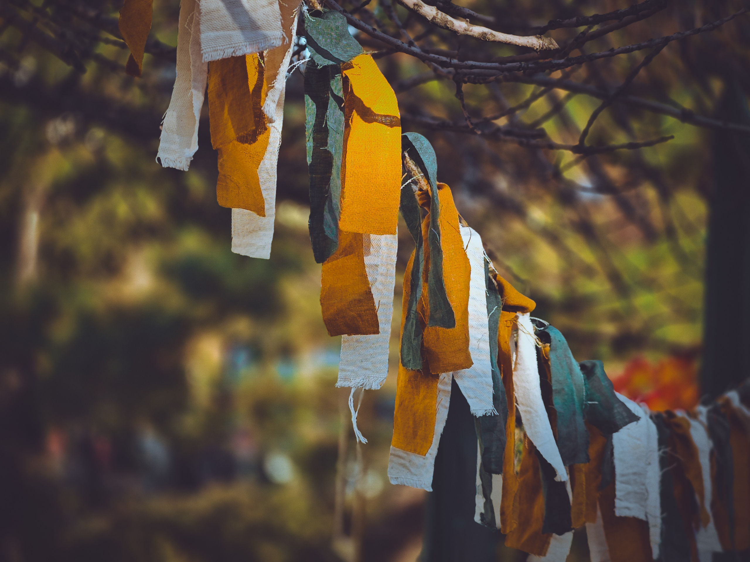 Игорь Урывский. Фотограф Красноярск